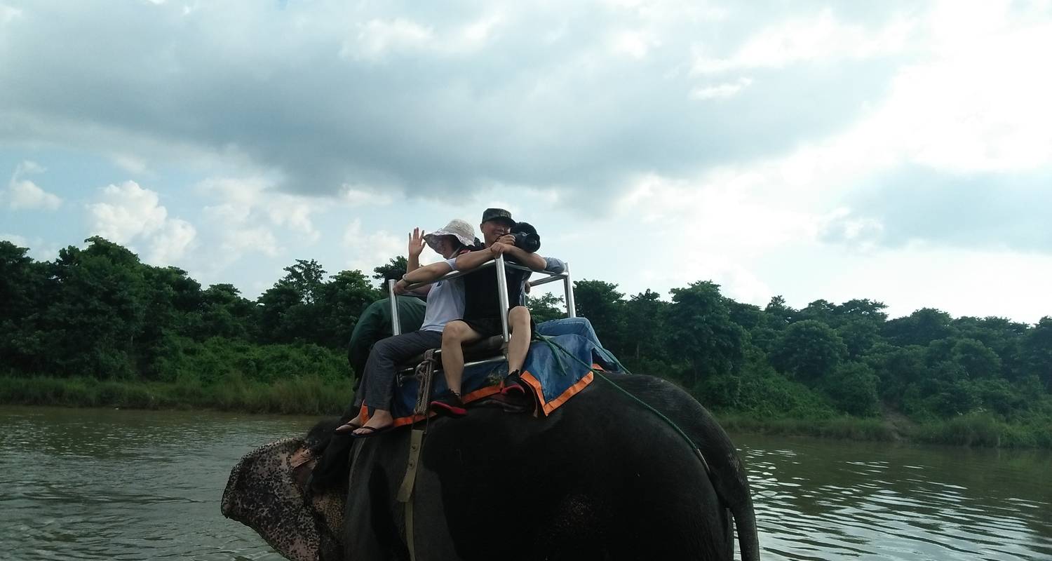 Safari à Chitwan - 3 nuits /4 jours - White Hill Adventure Treks and Expedition Pvt Ltd