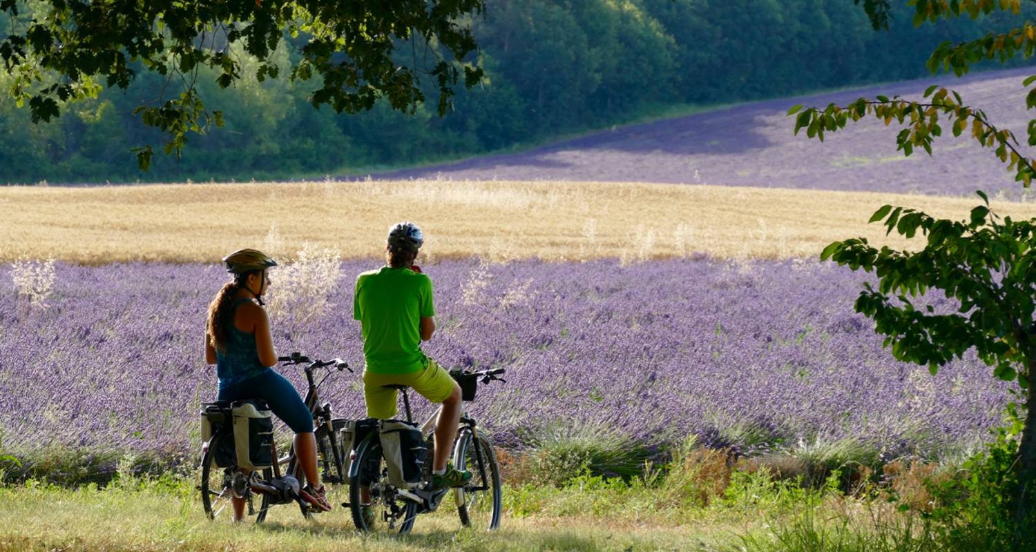 Epicurean E-bike cycling tour in the authentic Provence - So Provence So Alps !