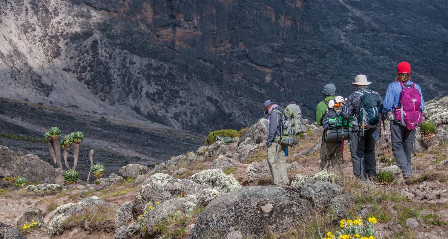 Kilimanjaro Treks, 7 jours - Route du Lemosho - Exodus African Safari