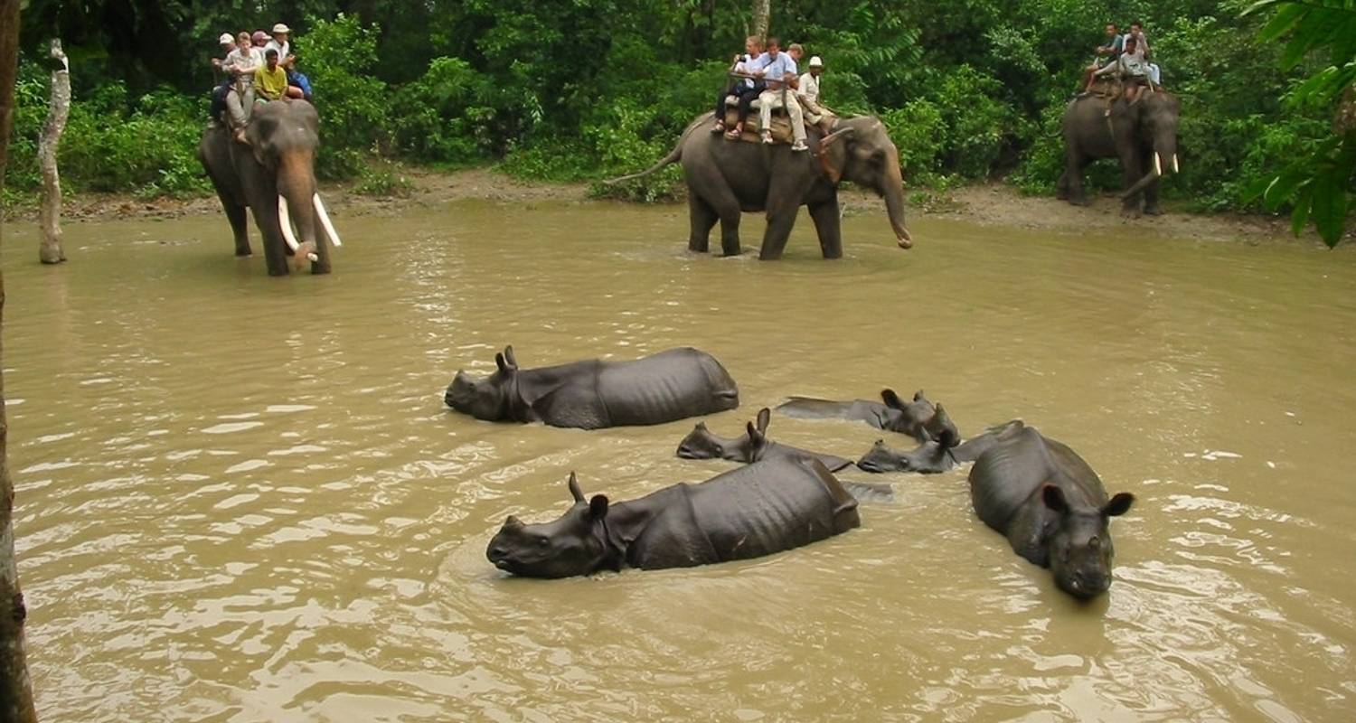 Voyage organisé dans la jungle de Chitwan - 1 nuit et 2 jours - Himalayan Adventure Treks & Tours