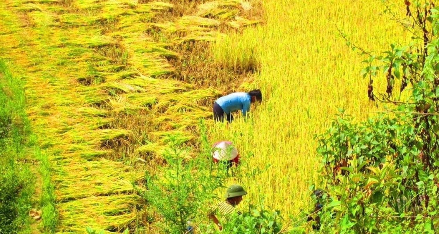 Fantastique circuit privé de 17 jours au Vietnam et au Cambodge - Crossing Vietnam Tour