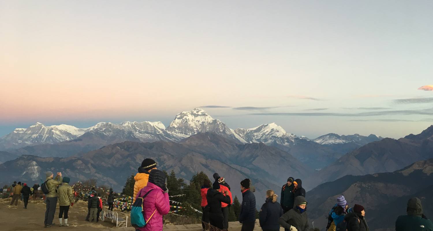 Ghorepani Poon Hill und Chitwan Dschungelsafari - 7 Nächte, 8 Tage - Nepal Lion Tours & Treks Pvt Ltd. 