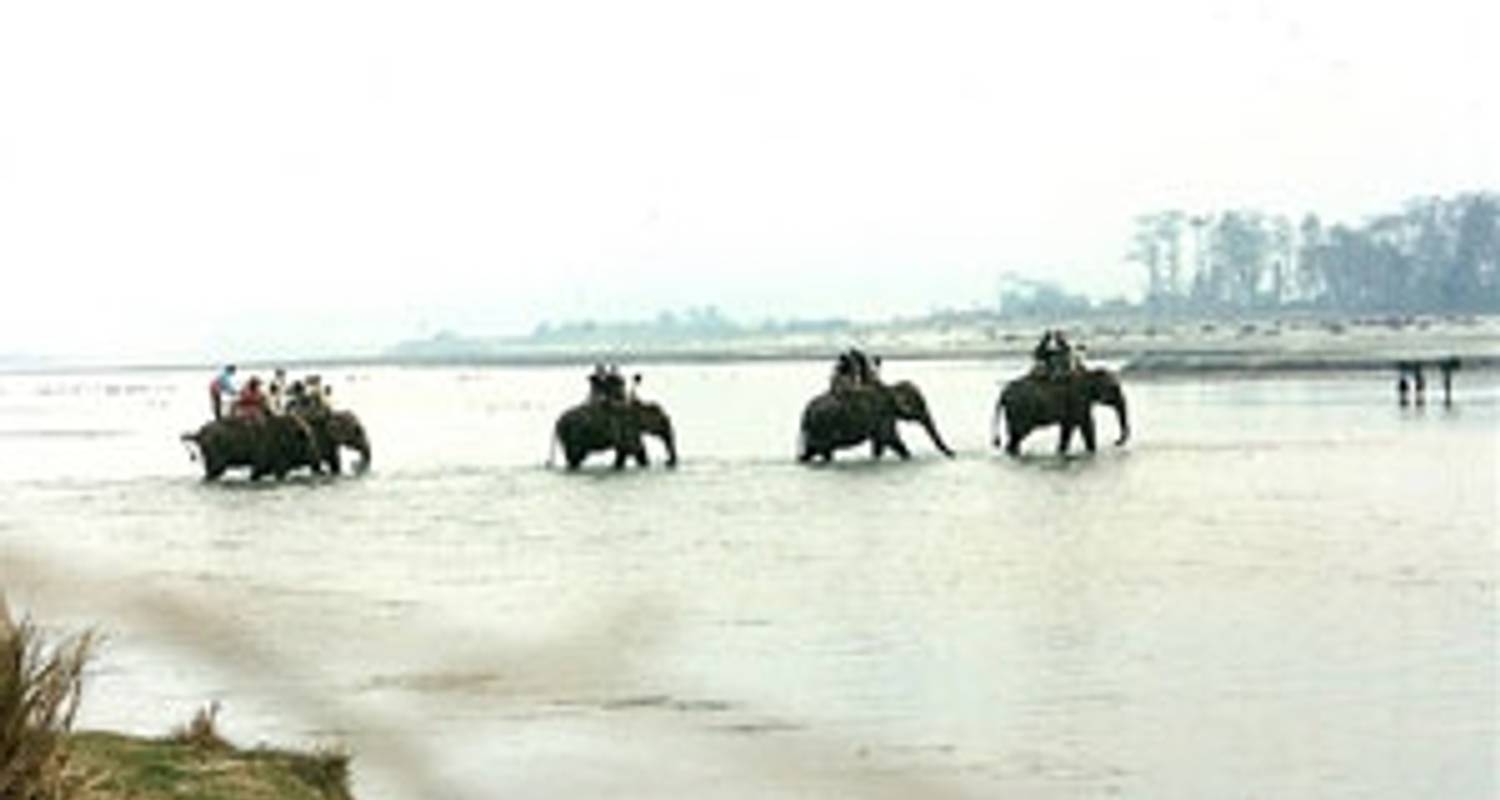 Circuits et voyages économiques en Parc national de Chitwan