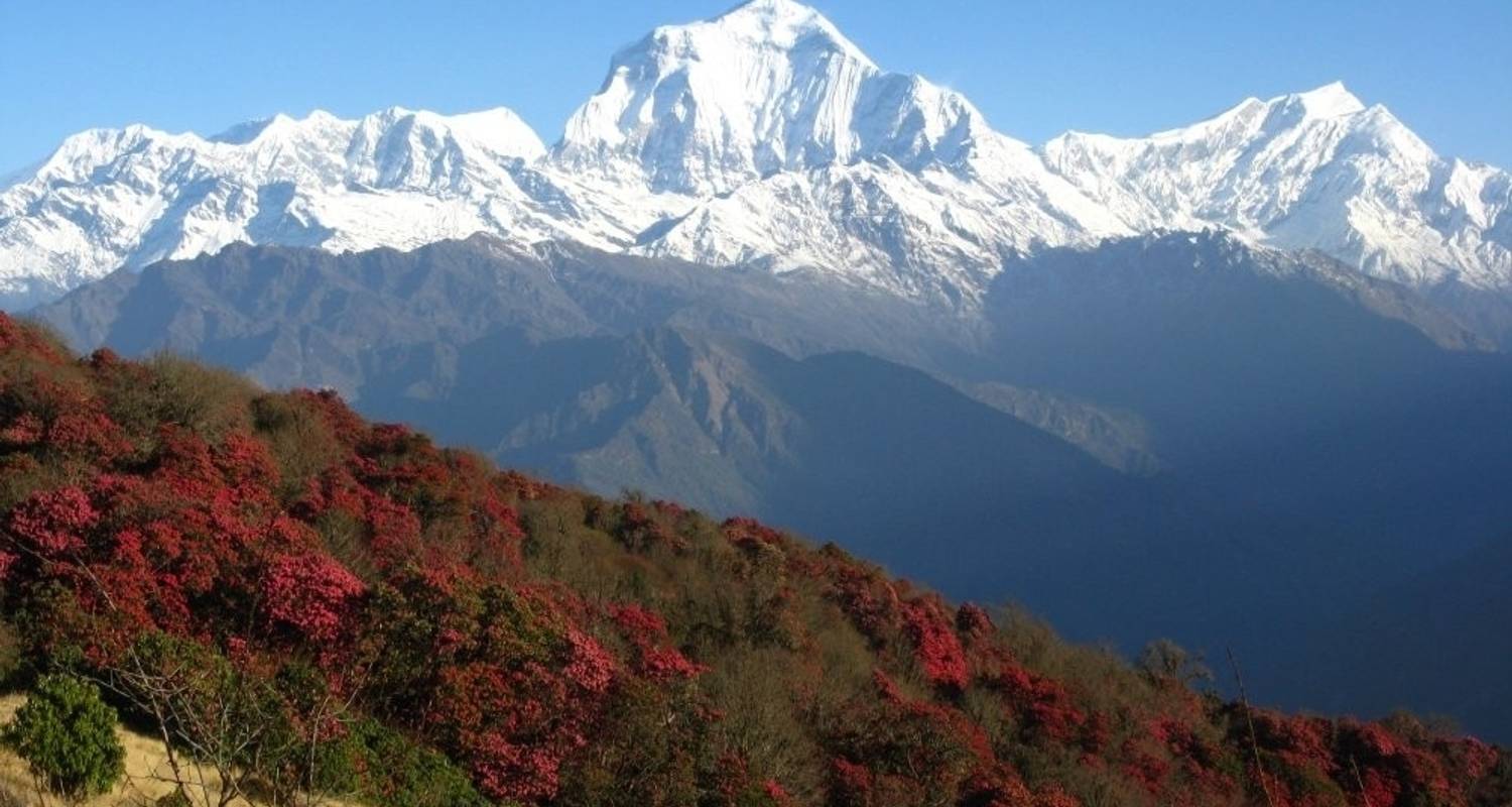 Mardi Himal Tours in March 2025