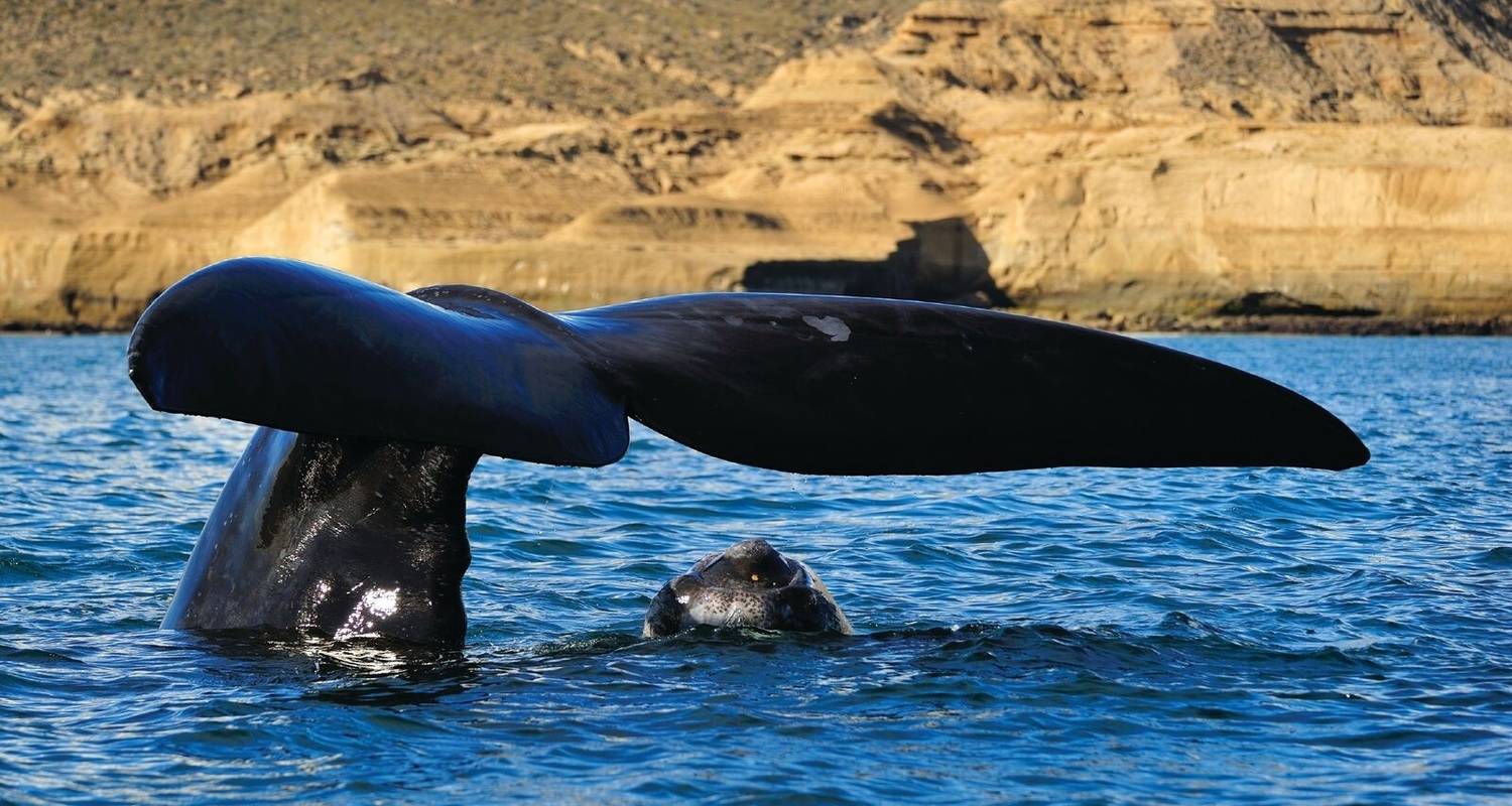 Patagonië Rondreizen