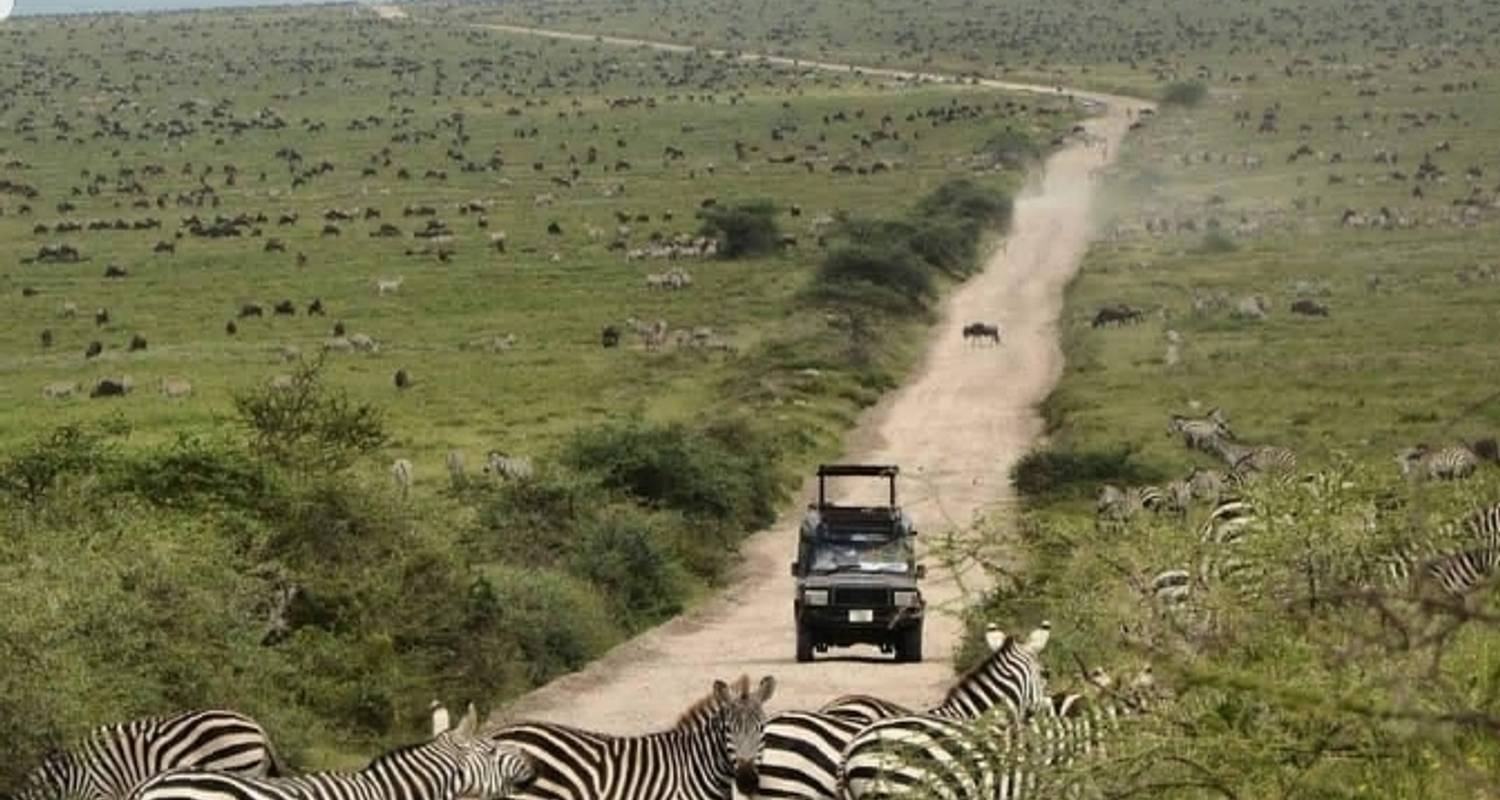 4 Days : Tarangire Serengeti and Ngorongoro crater - Safari Trackers Adventure