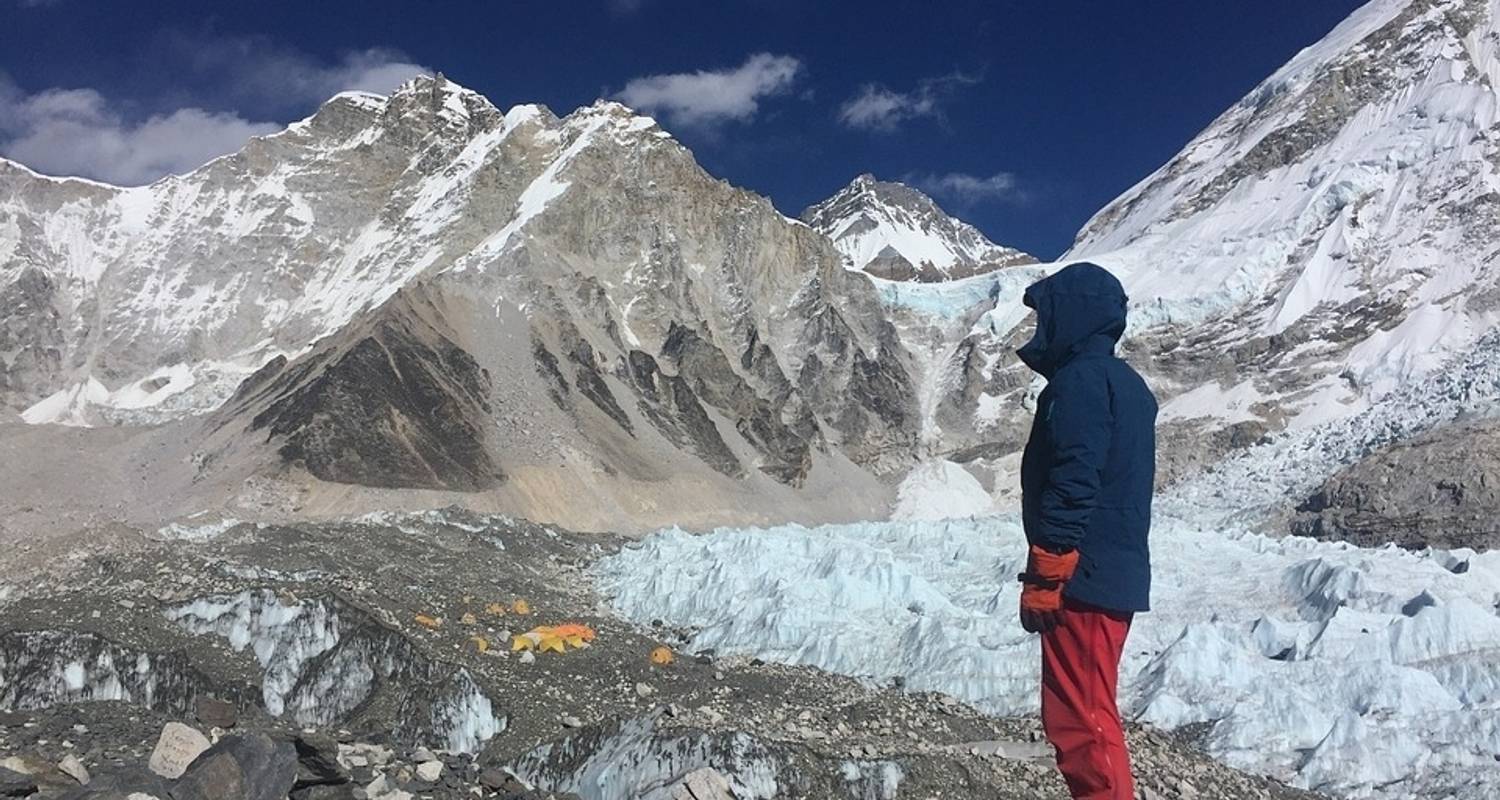 Песня mount everest labyrinth. Гора Эверест. Подножье Эвереста. Цветы Эверест. Растения на Эвересте.