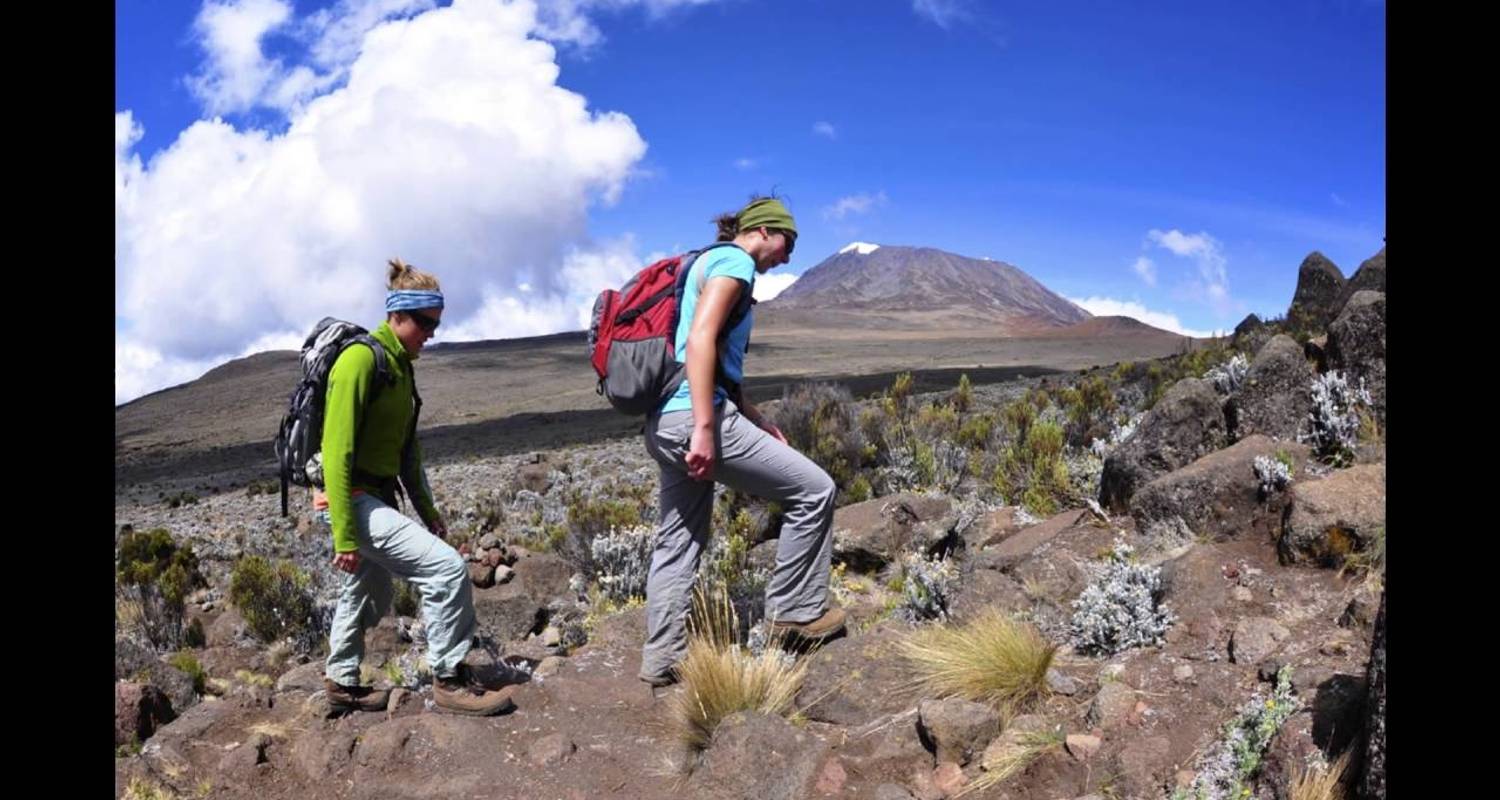 Kilimanjaro climb machame route 6 days - Almighty Kilimanjaro