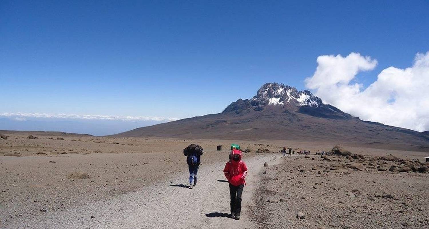 Kilimanjaro climbing machame route 7 days - Almighty Kilimanjaro