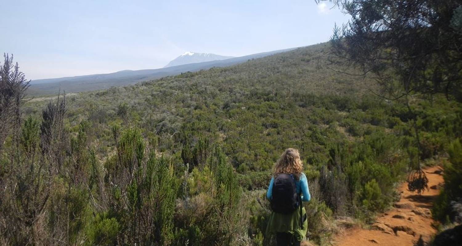 Kilimanjaro climbing rongai route 7 days - Almighty Kilimanjaro