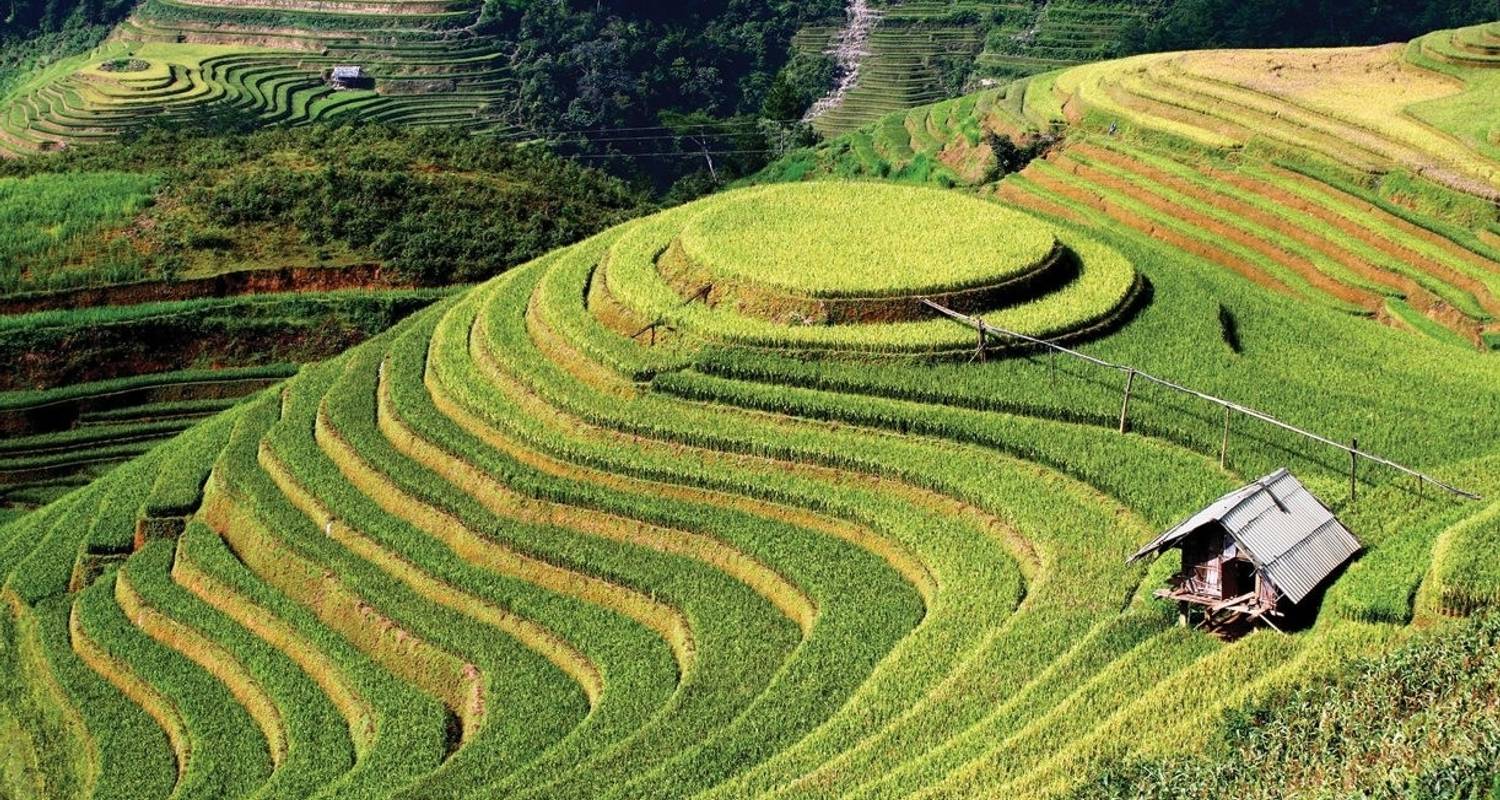 Circuit forfaitaire de 5 jours / 4 nuits Hanoi - Mu Cang Chai - Crossing Vietnam Tour