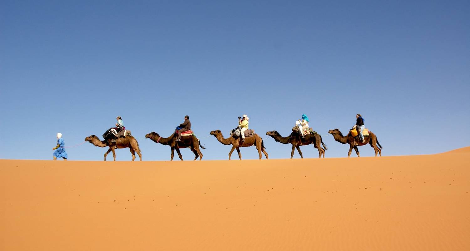 Safaris en Norte de África