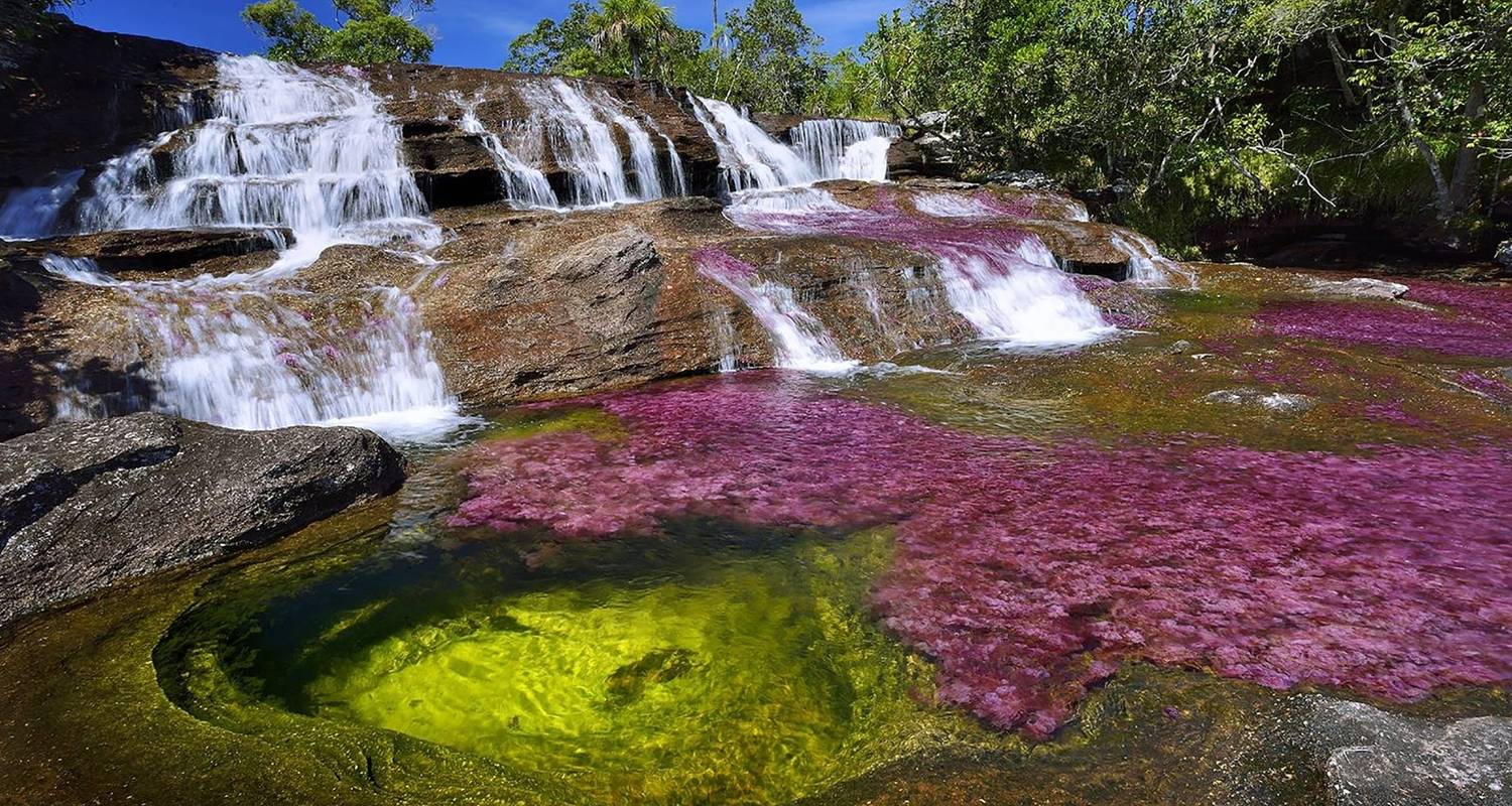 3-Day Caño Cristales (Rainbow River) from Bogotá - FlashpackerConnect