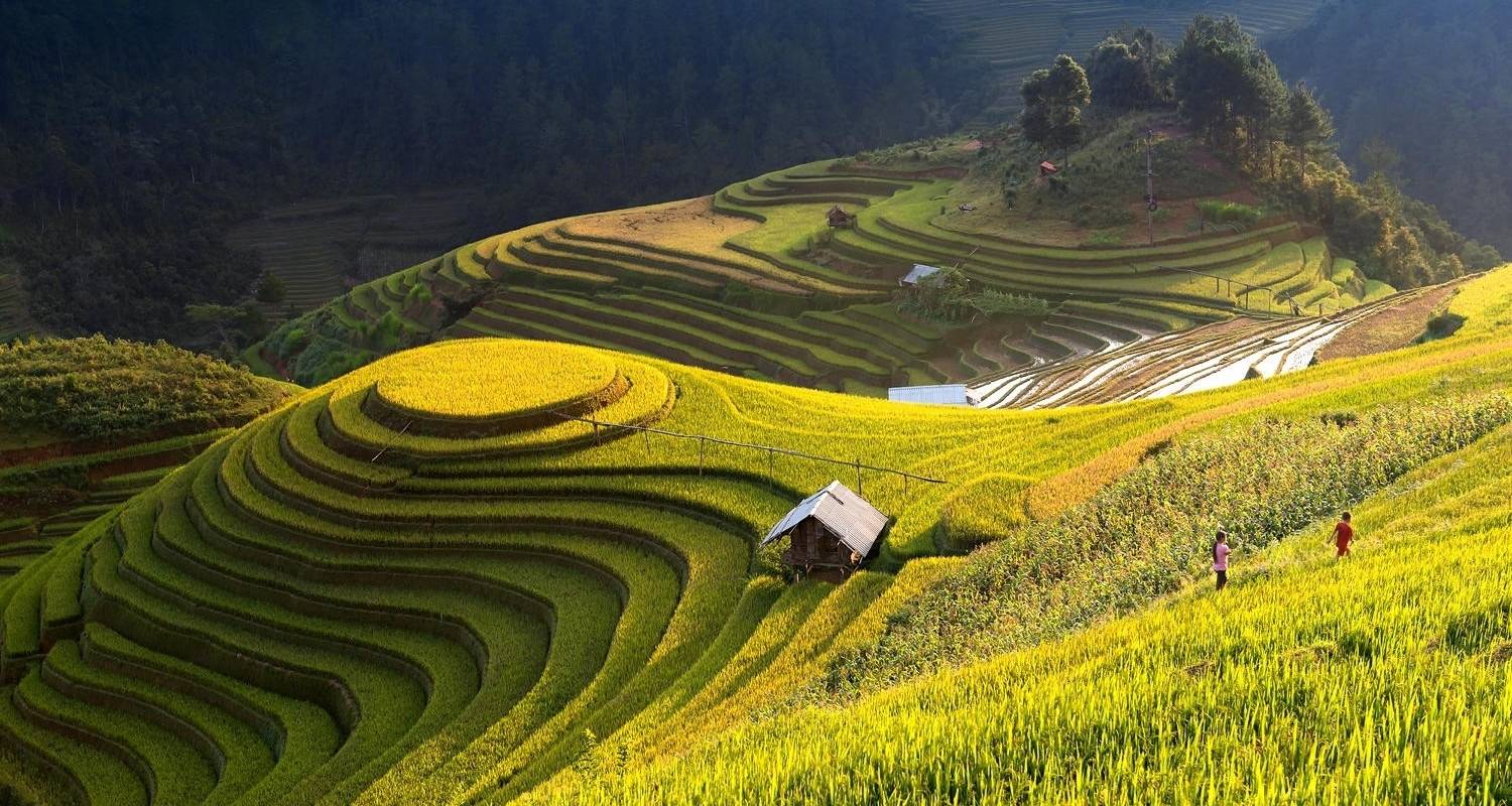 Senderismo por los arrozales de Hoang Su Phi 4 días 3 noches - Mr Linh's Adventures