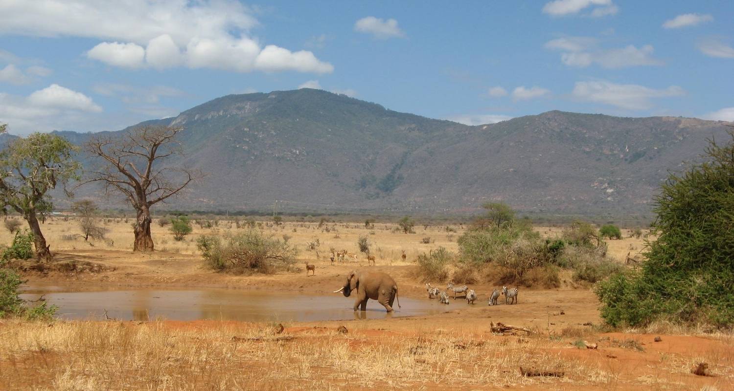 3 Days Tsavo East & West - Bigzone Africa Safaris