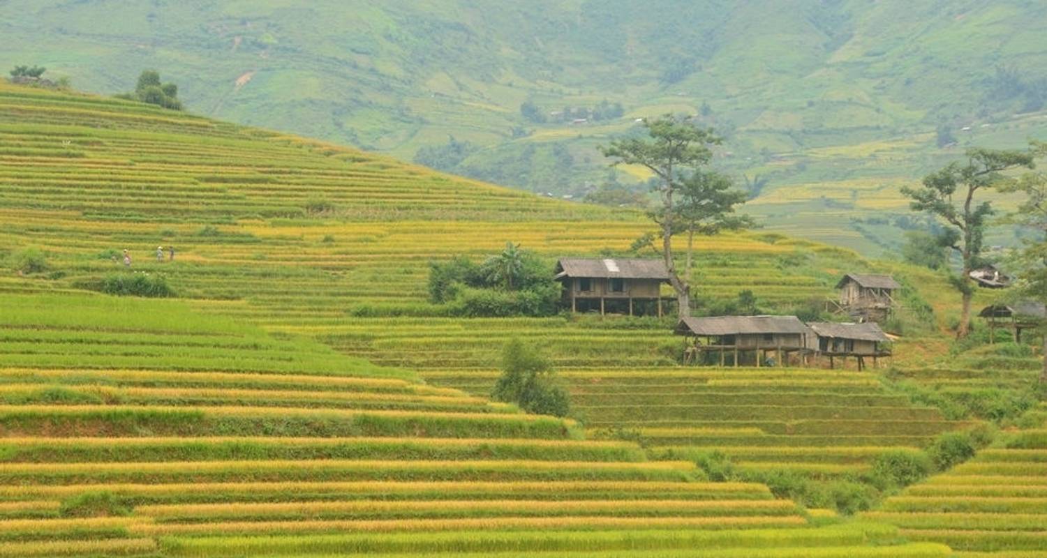 Sapa Gemakkelijke Trek en Hotelverblijf 2 dagen per trein - Crossing Vietnam Tour