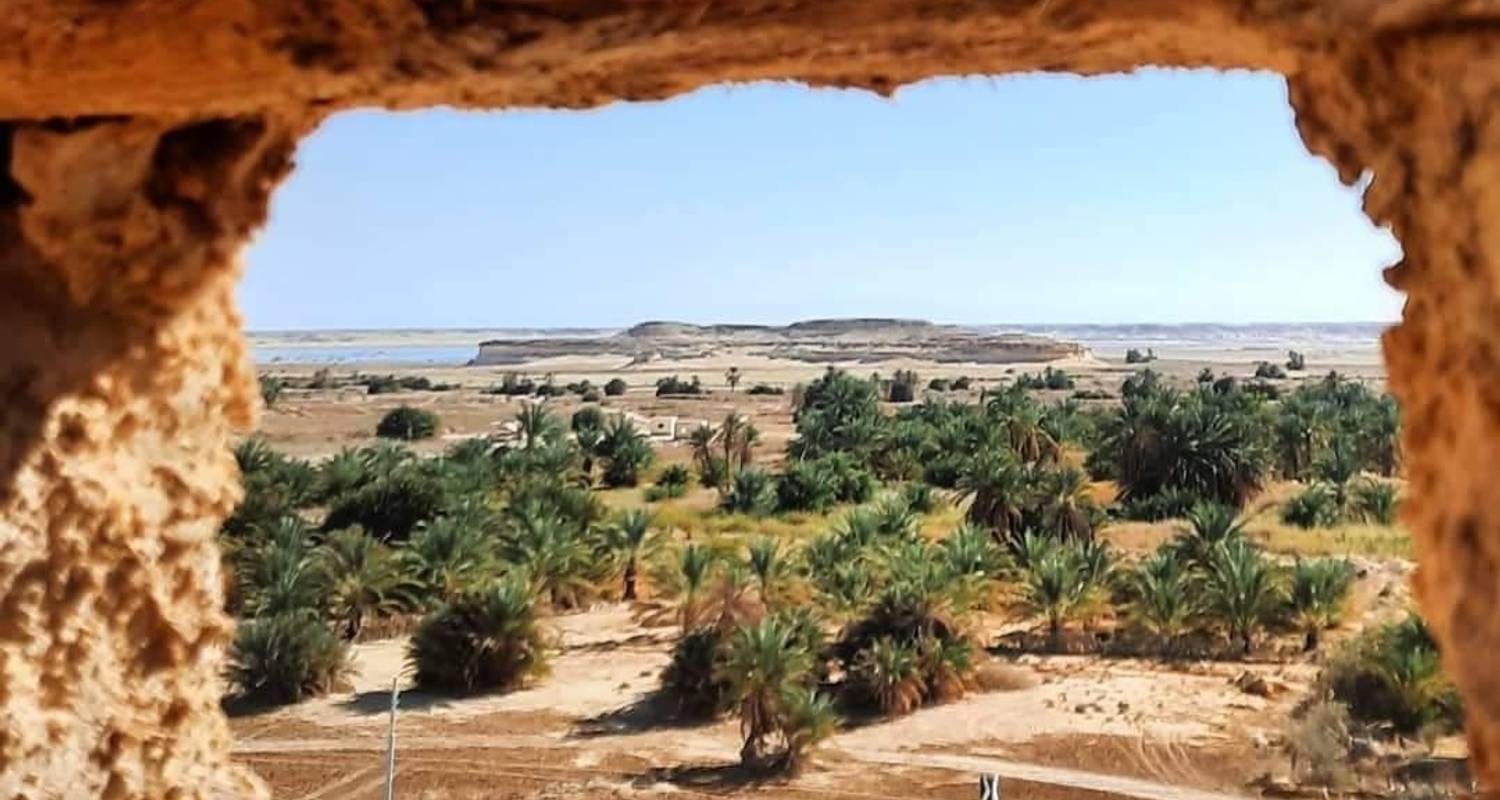 Circuit dans le désert avec camp de luxe : Circuit de 8 jours au Caire, à l'Oasis et à Louxor - Luxor Private Tour