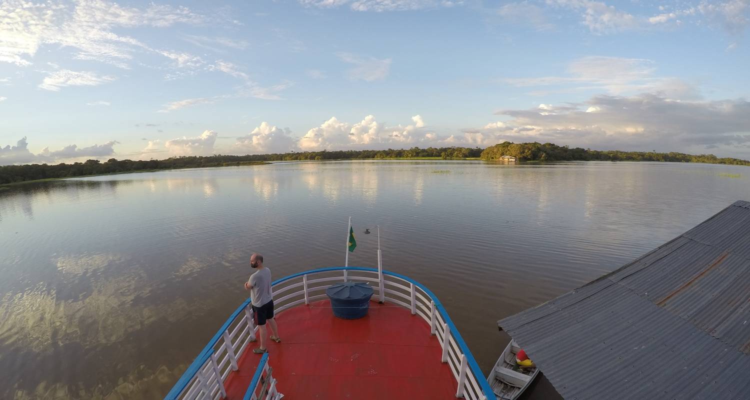 Wildlife Rondreizen in Amazone Regenwoud