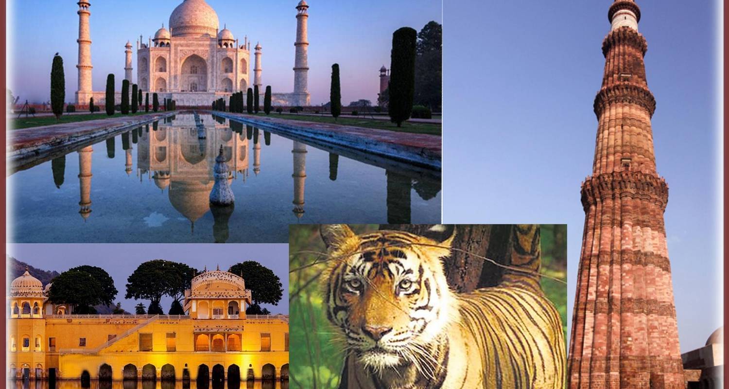 De Gouden Driehoek & Ranthambore - 7 dagen - Chauffeurs In India