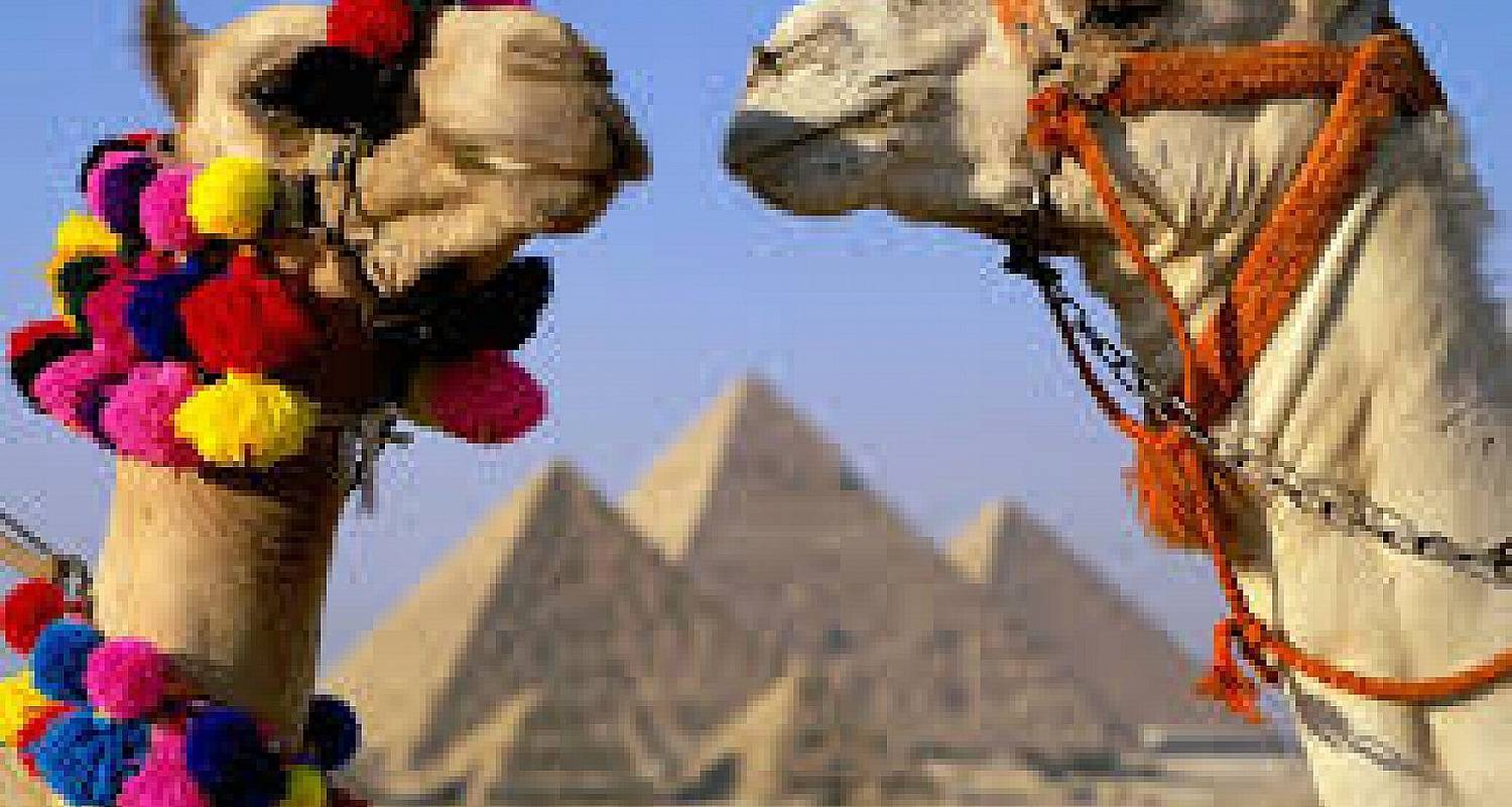 Wake Up Cairo Tour 3 Days Guided Tour To Cairo Giza 4 Stars Hotel By Egypt Best Holidays With 3 Tour Reviews Code Pete6 Tourradar