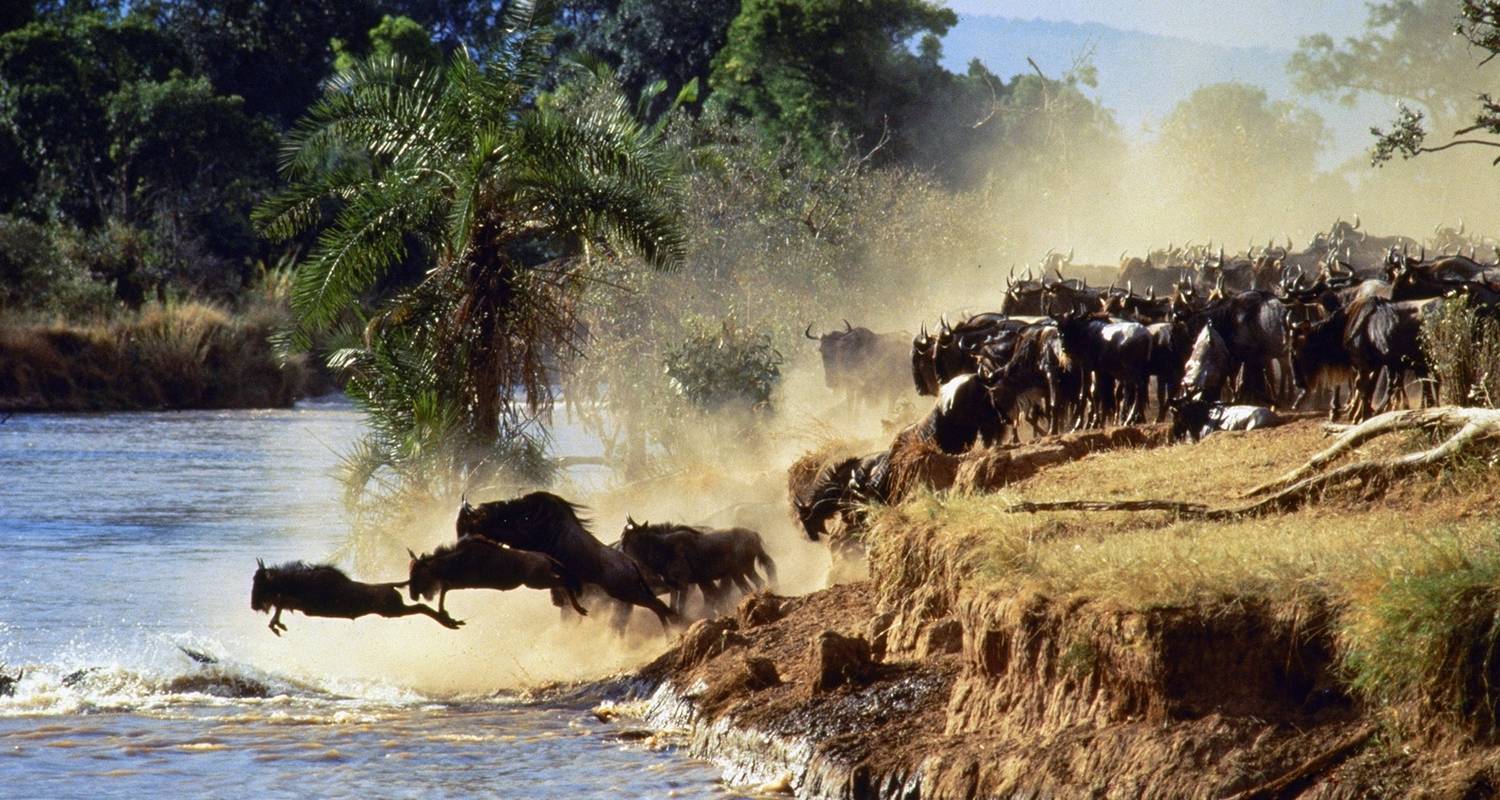 7 jours et 6 nuits de safari au Masai Mara, au lac Nakuru, au lac Naivasha/Hell's Gate et dans la réserve nationale de Samburu, avec une première nuit gratuite à l'hôtel After 40 de Nairobi. - Perfect Wilderness Tours And Safaris