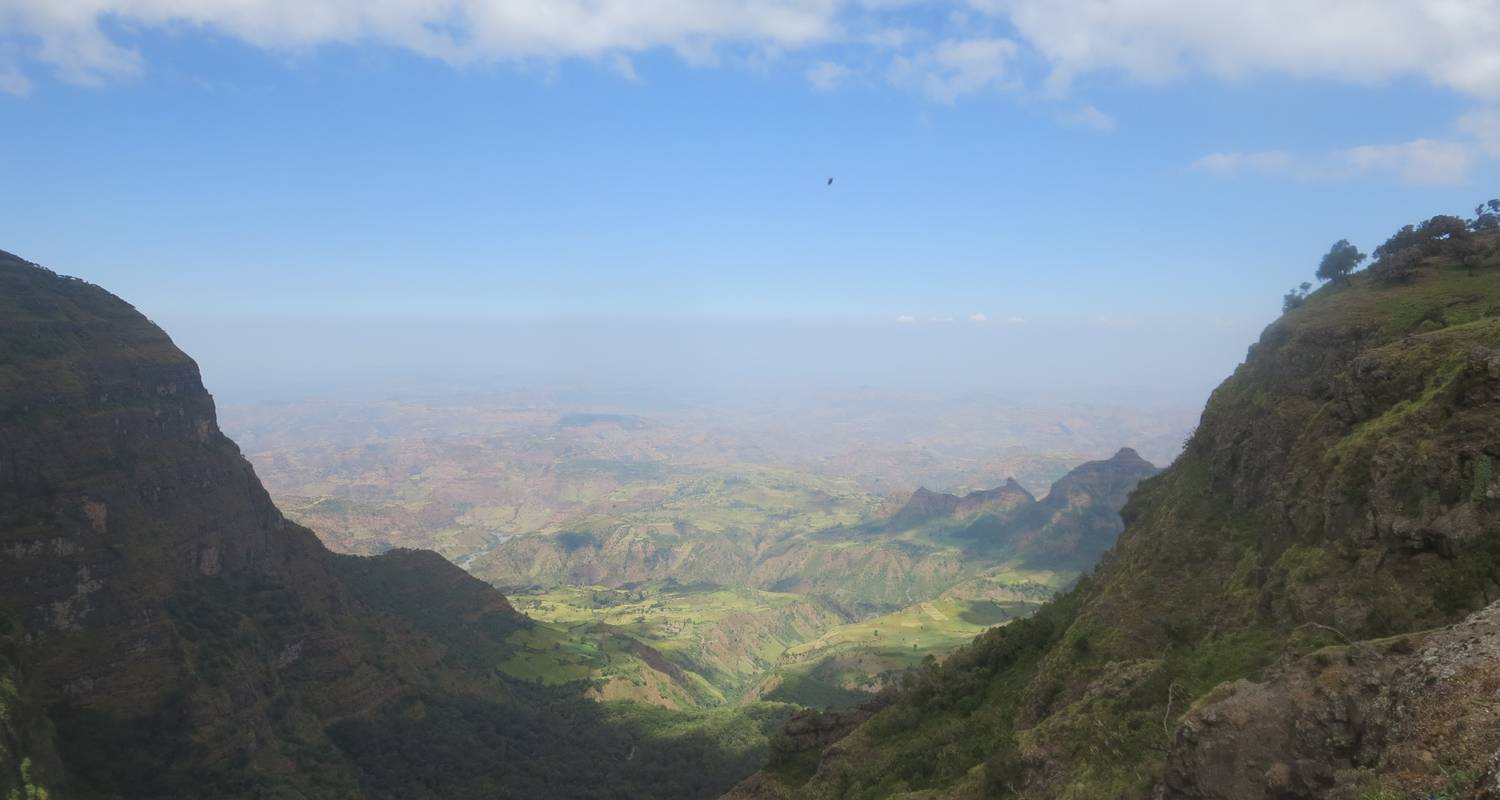 3 Days  Trek Semien Mountains & Spot Unique Wildlife - Ethio ToursByLocals