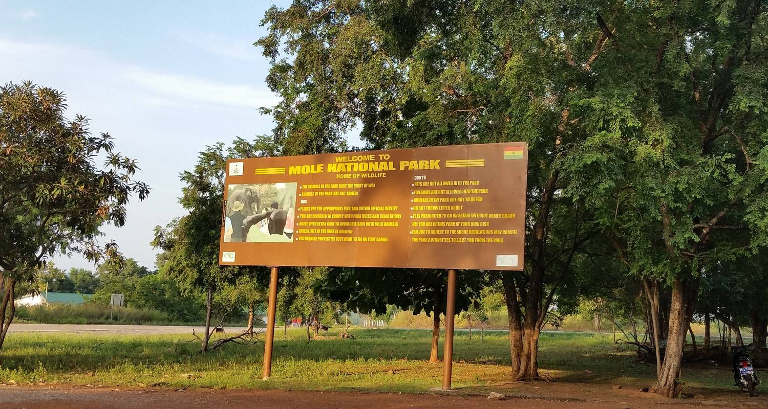 3 day trip to Mole National Park