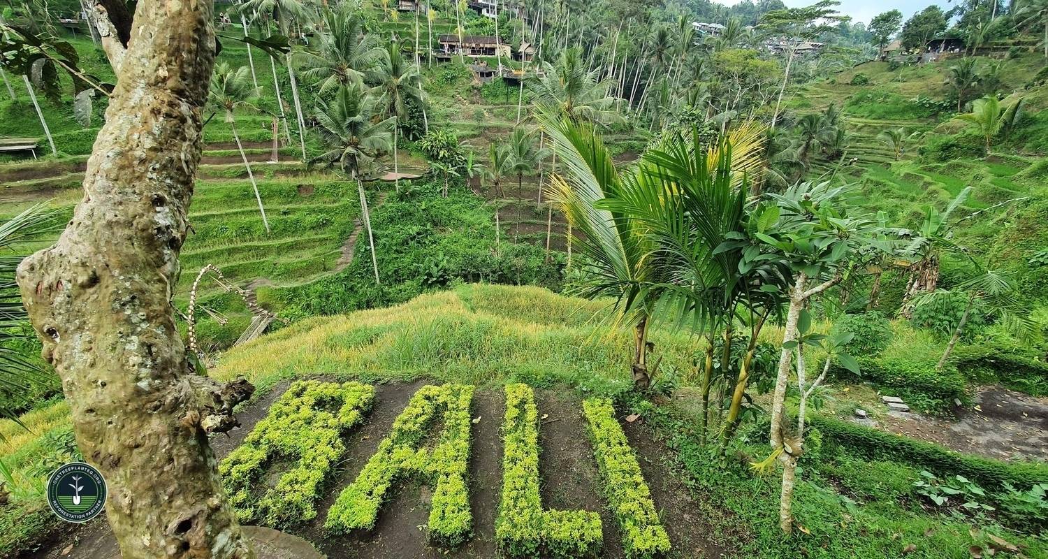 Tanzania,2026,Adventure Tours,Africa,Tanzania adventure