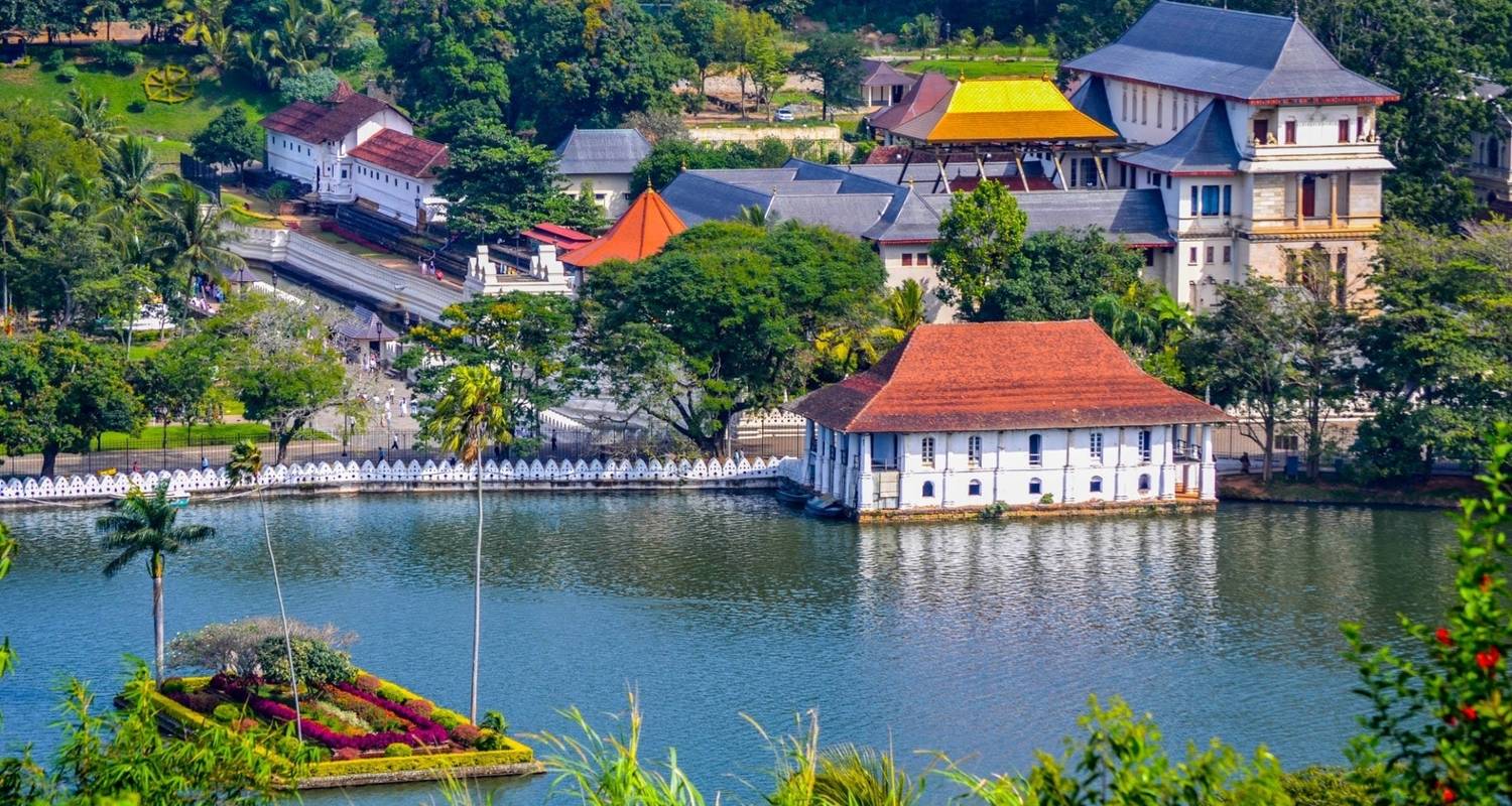 Sri Lankan Heritage - 11 Days