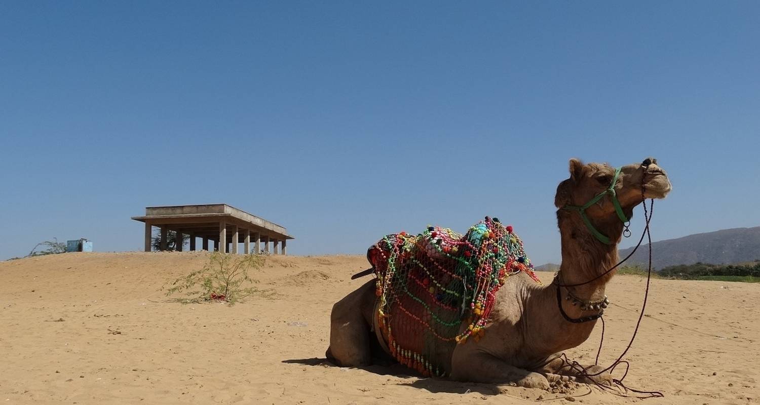 Triángulo de Oro con la Ciudad Sagrada de Pushkar - Make My Vacations