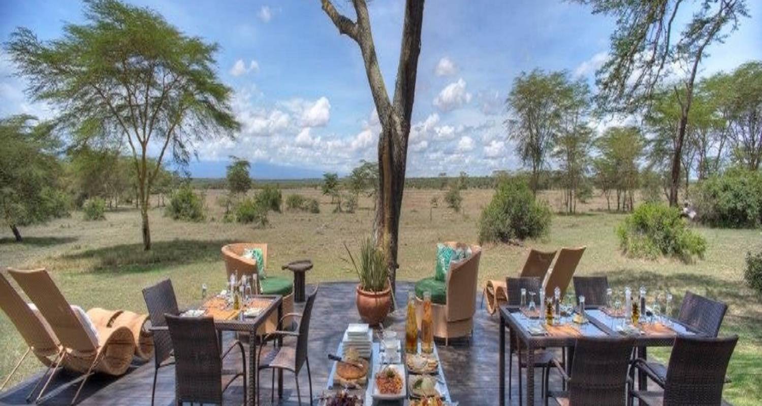 Wildlife Rondreizen in Tanzania