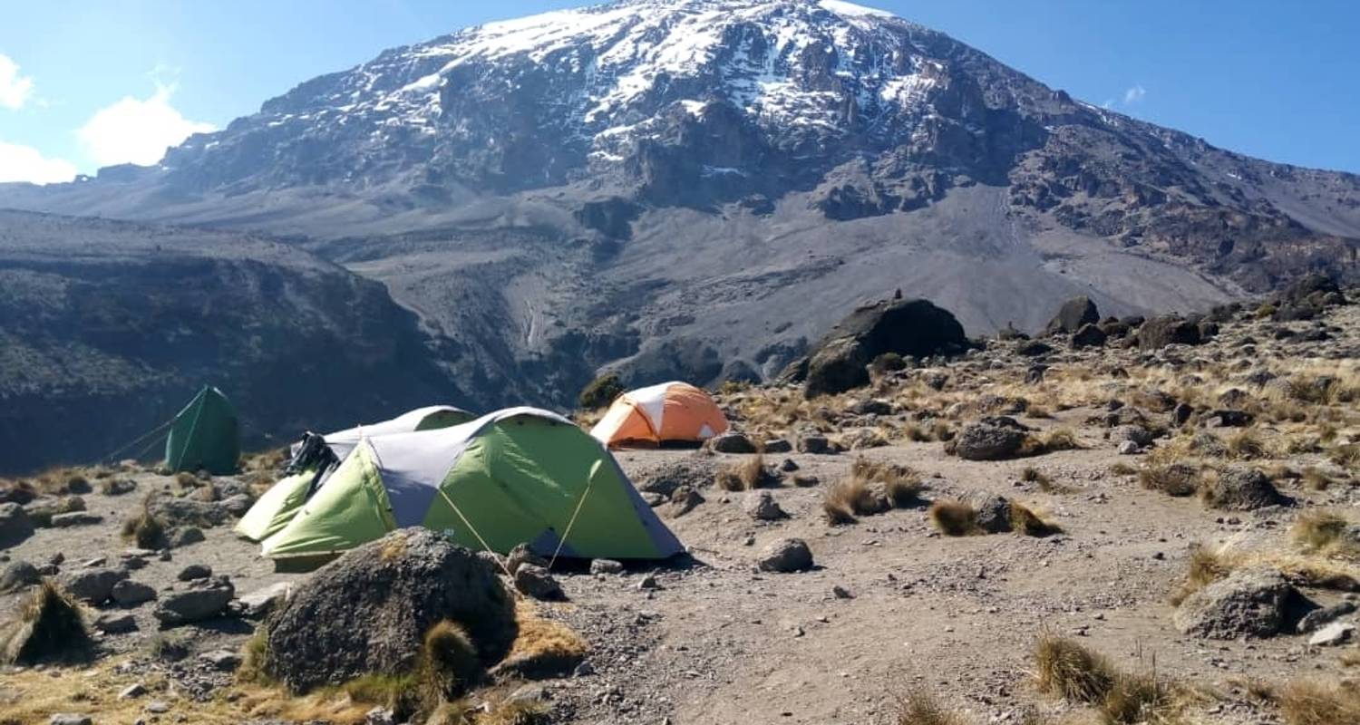 Ascension du Kilimandjaro par la route de Lemosho 8 jours - Kilimanjaro Safari Experience