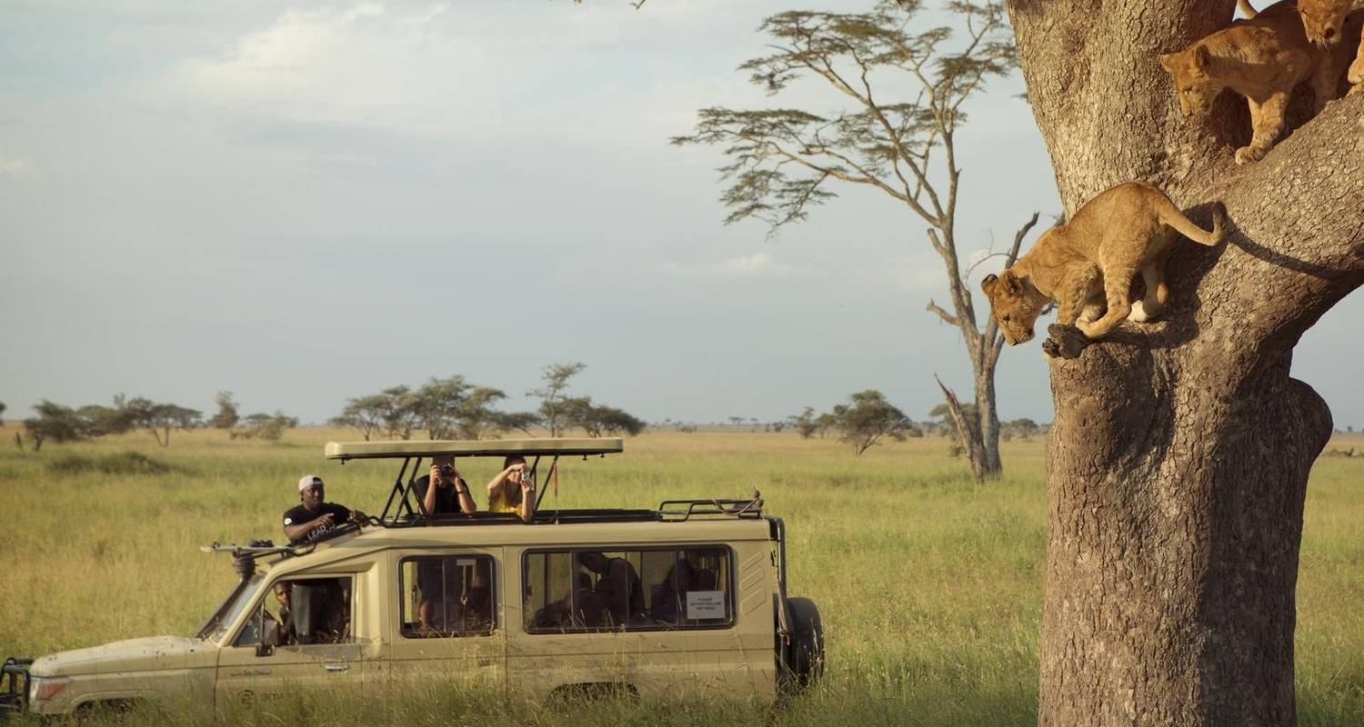 Sugerencia de aventura de 6 días para Ver la migración cruzando el río Mara - Kili Slope Tours And Safaris