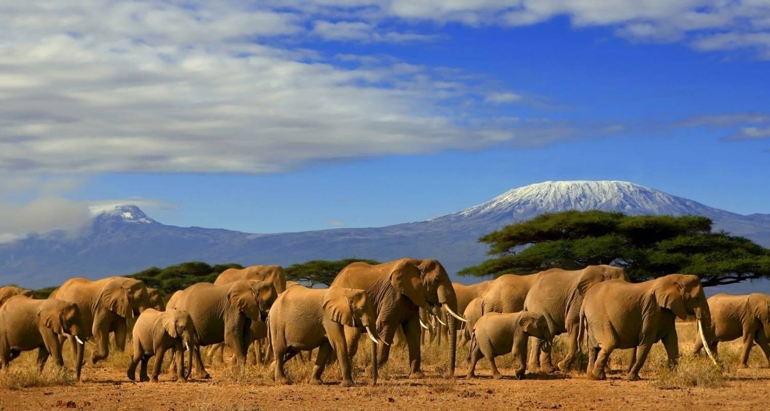 3 Days, 2 Nights Amboseli National Park From Nairobi by Perfect Safari ...