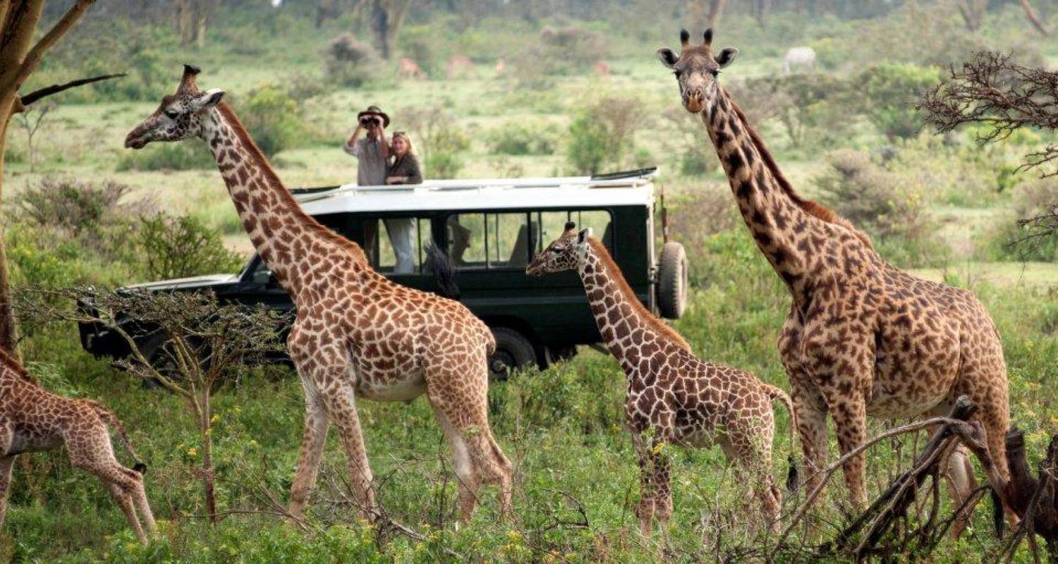 15 Days Best of Kenya - Tanzania Safari by Kiriwe Travel And Trekking Safaris Ltd with 2 Tour Reviews - TourRadar