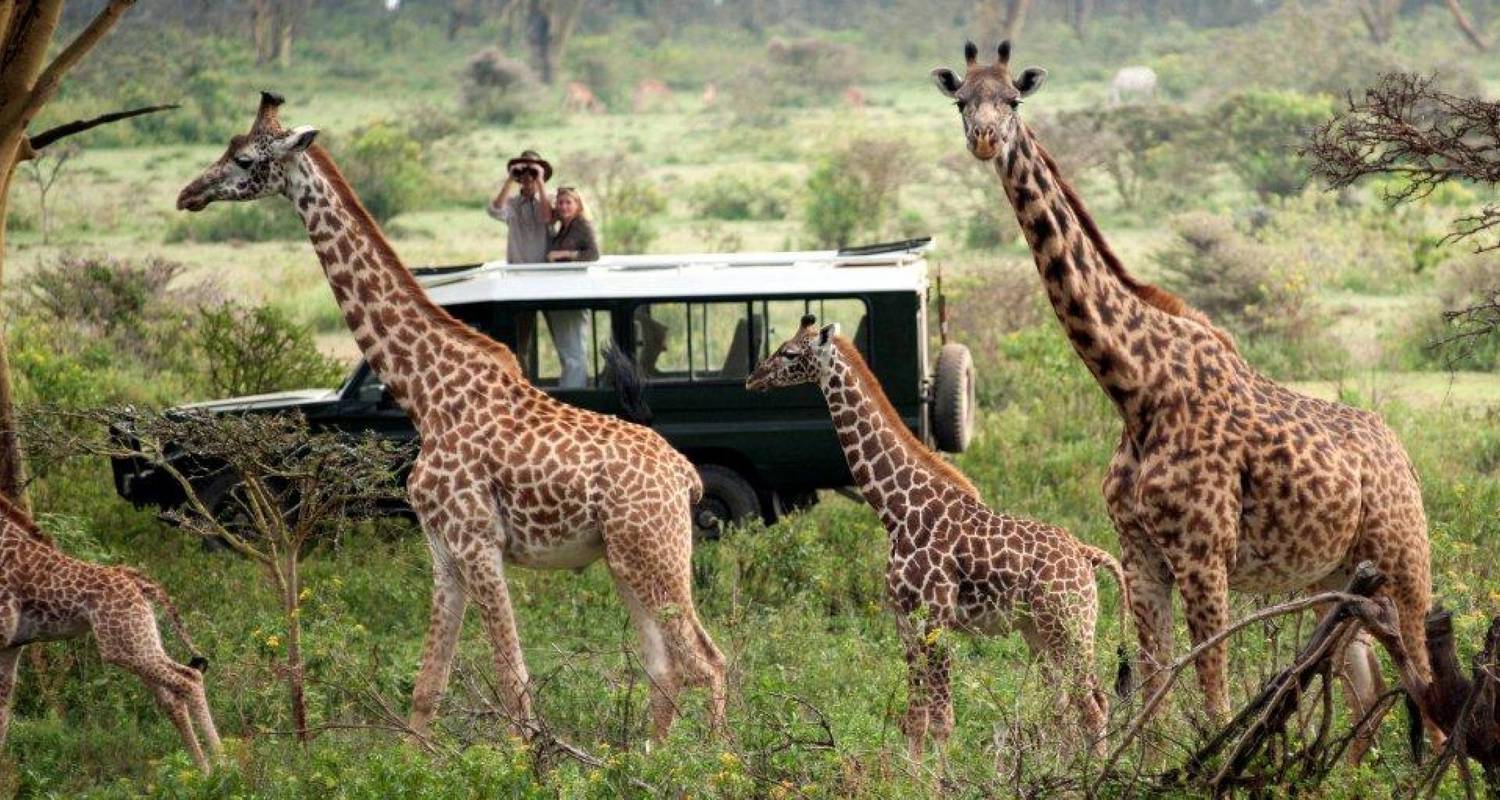 Kenya & Tanzania Safari Tours