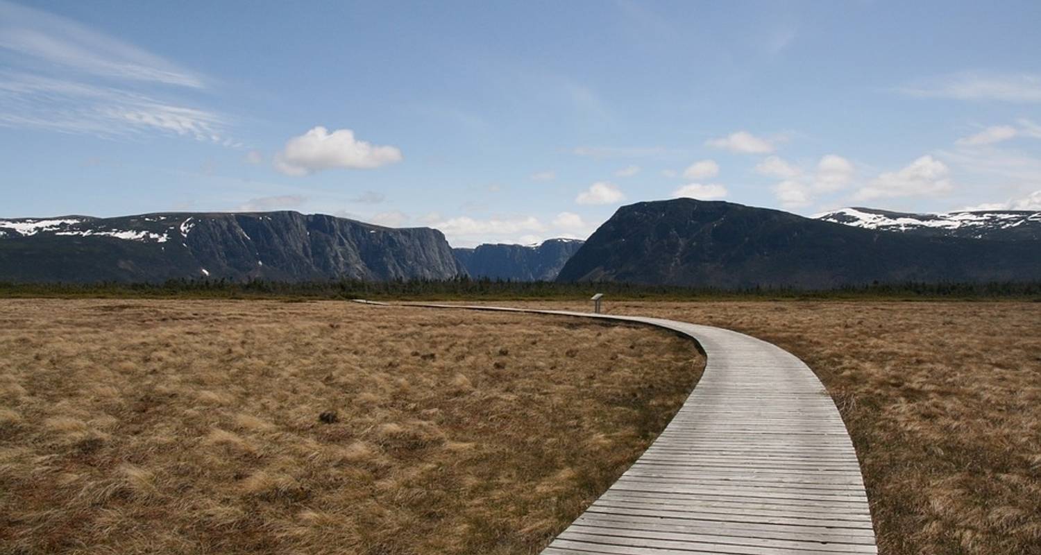 Visita turística circuitos en Terranova y Labrador