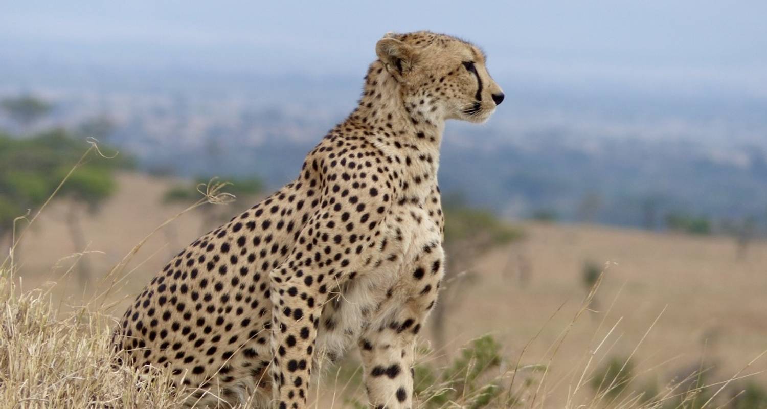 9 Days Kenya and Tanzania Safari - Lights on Africa Destinations & Safaris