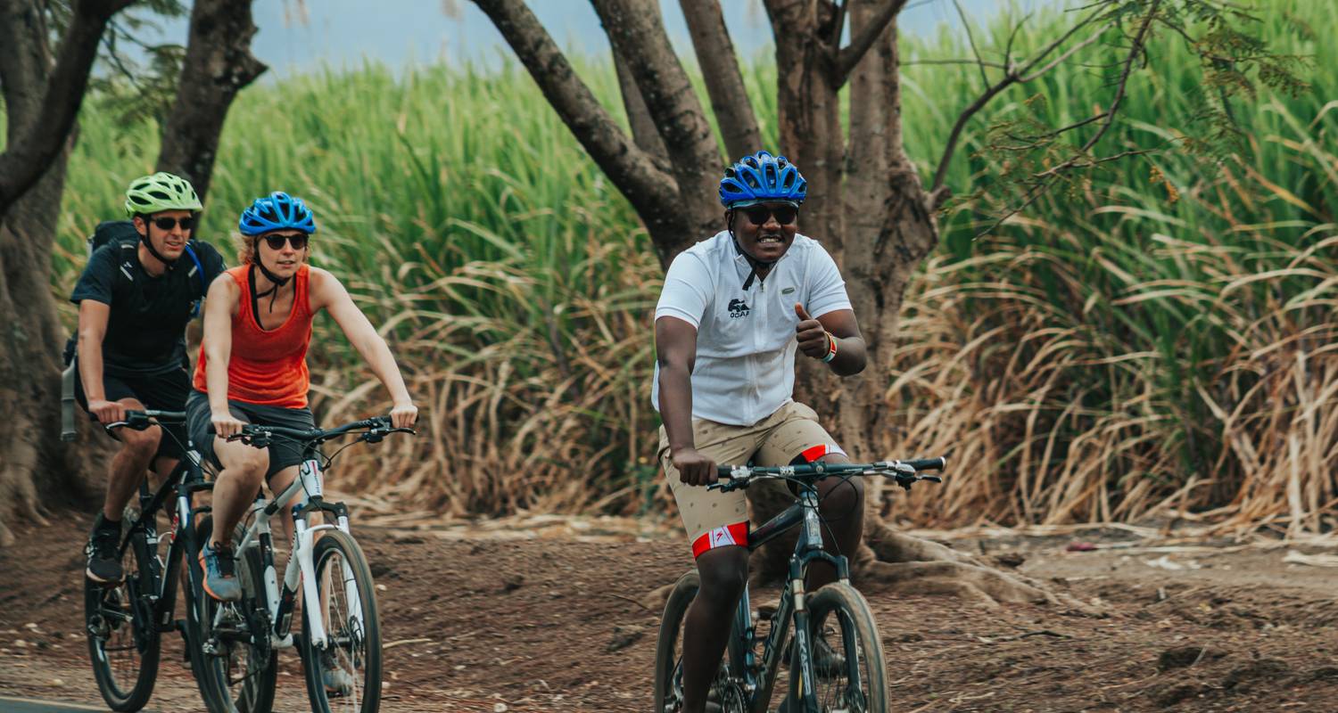 Cycle to TPC Sugarcane Plantations | Oclaa Adventures - Oclaa Adventures Tanzania