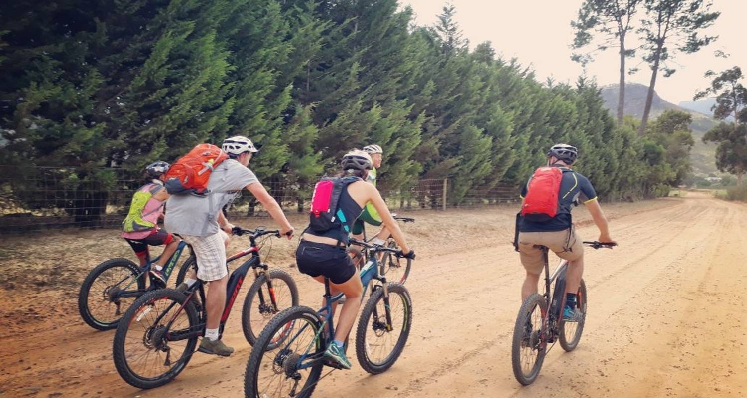 Guided Bike Tours Make a Perfect Family Outing in Cape town - MBBA