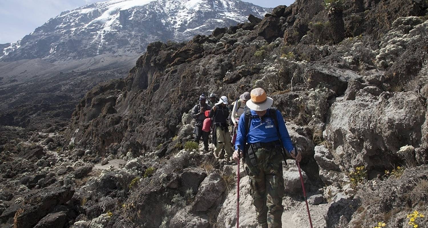 6 Days Mount Kilimanjaro Climb - Marangu route - Pam Tours and Travel 