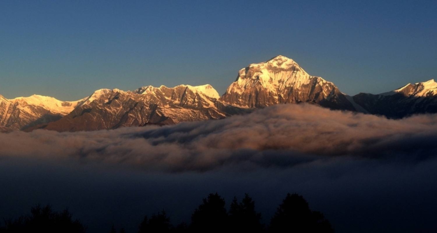 7 days Ghorepani – Poonhill – Ghandruk Trek - Nepal Eco Adventure Pvt.Ltd