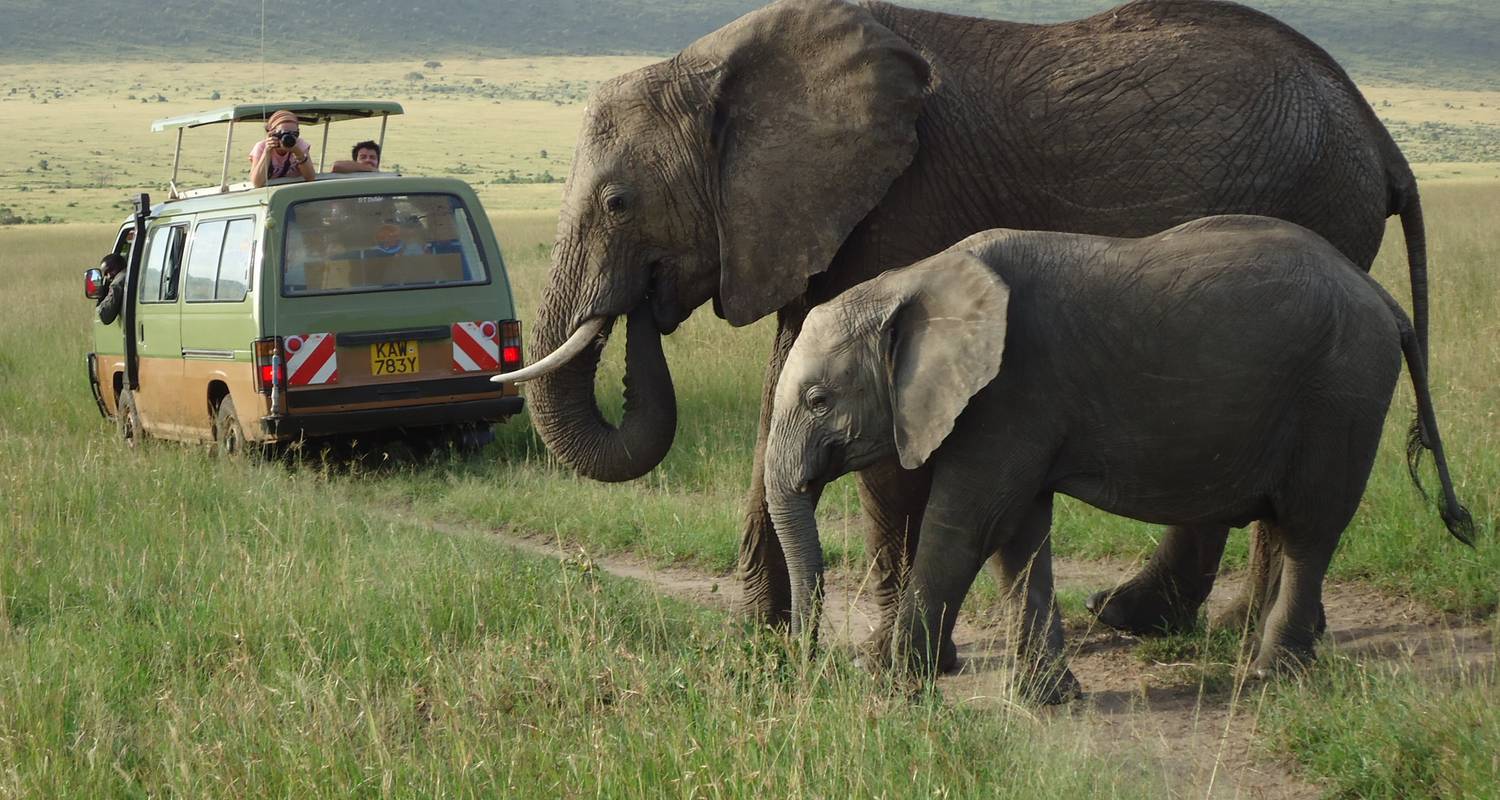 safari kenia 7 dagen