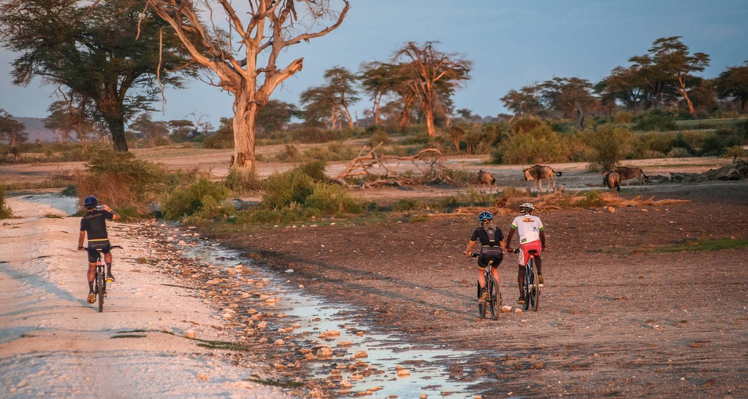 En bici de Kili al cráter del Ngorongoro - aventuras Oclaa - Oclaa Adventures Tanzania