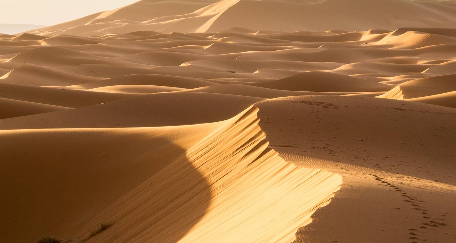Kamel-Trekking Tour nach Erg Zahar - 6 Tage - Desertbrise Travel