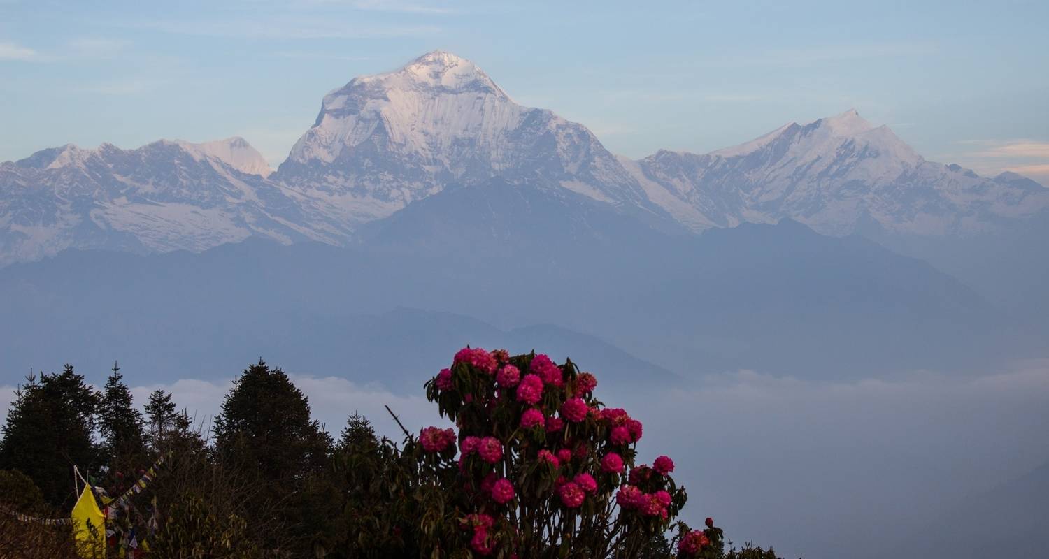 Viaje a la Montaña del Yoga y Safari del Tigre en Nepal - 12 días - Earthbound Expeditions Pvt. Ltd