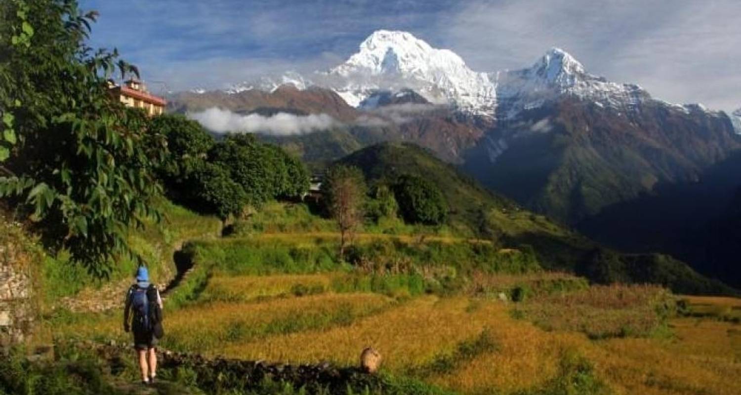 6 jours de Trek royale - Nepal Eco Adventure Pvt.Ltd