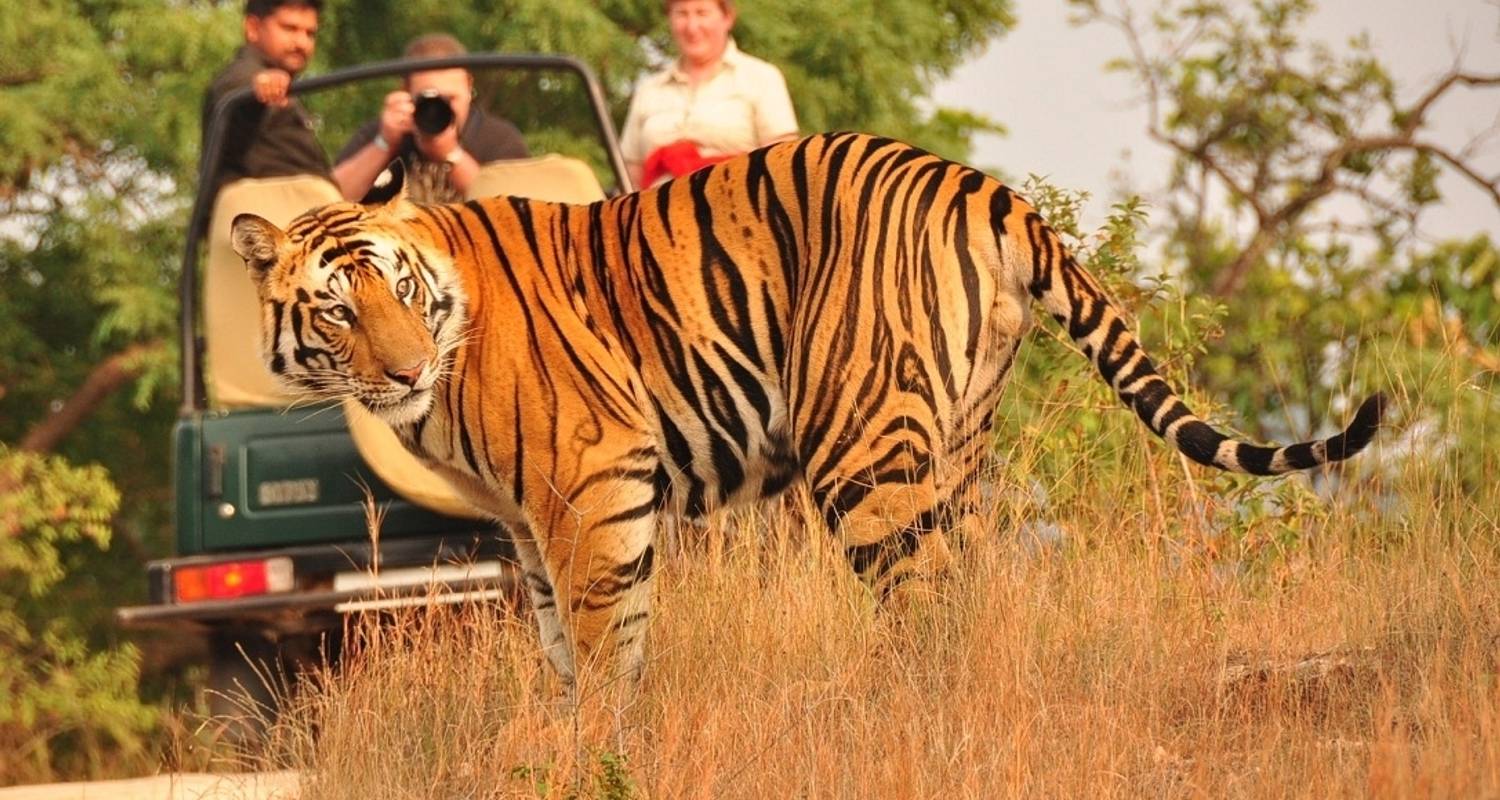 Golden Triangle Tour with Ranthambore - Agra Taj Visit