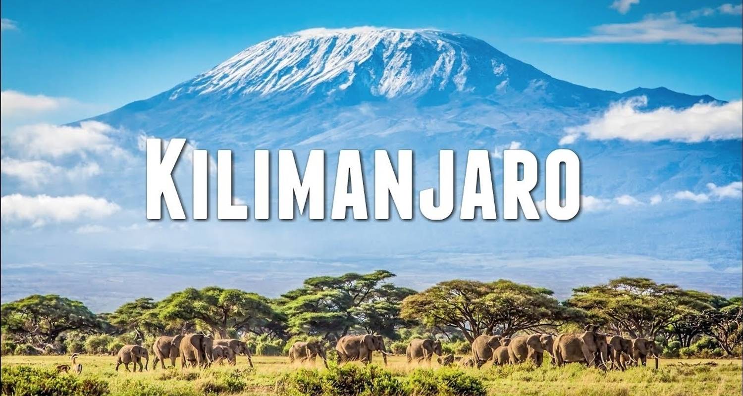 6 días de escalada al Kilimanjaro - ruta Marangu - Lights on Africa Destinations & Safaris