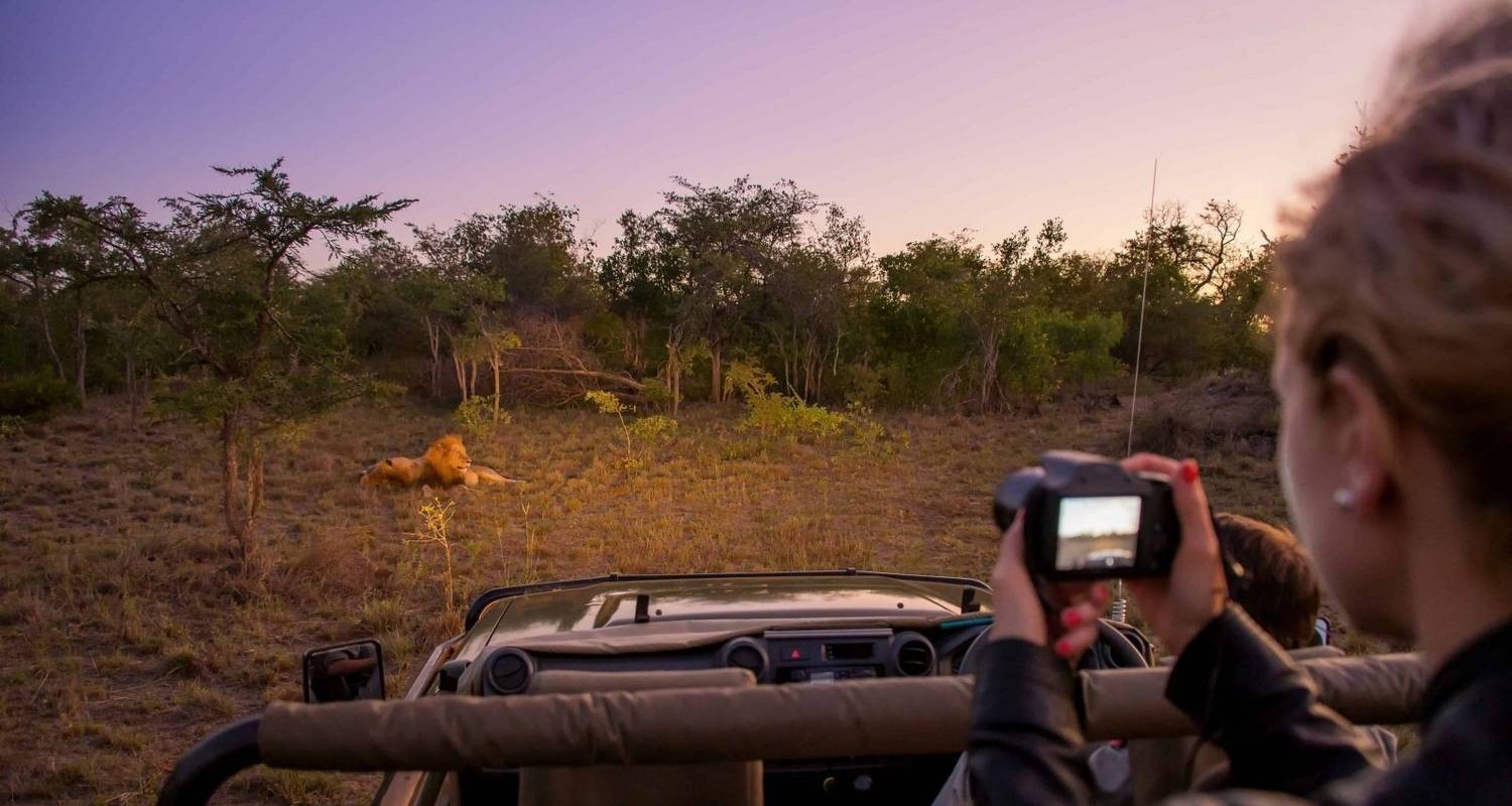 Hwange National Park Safari